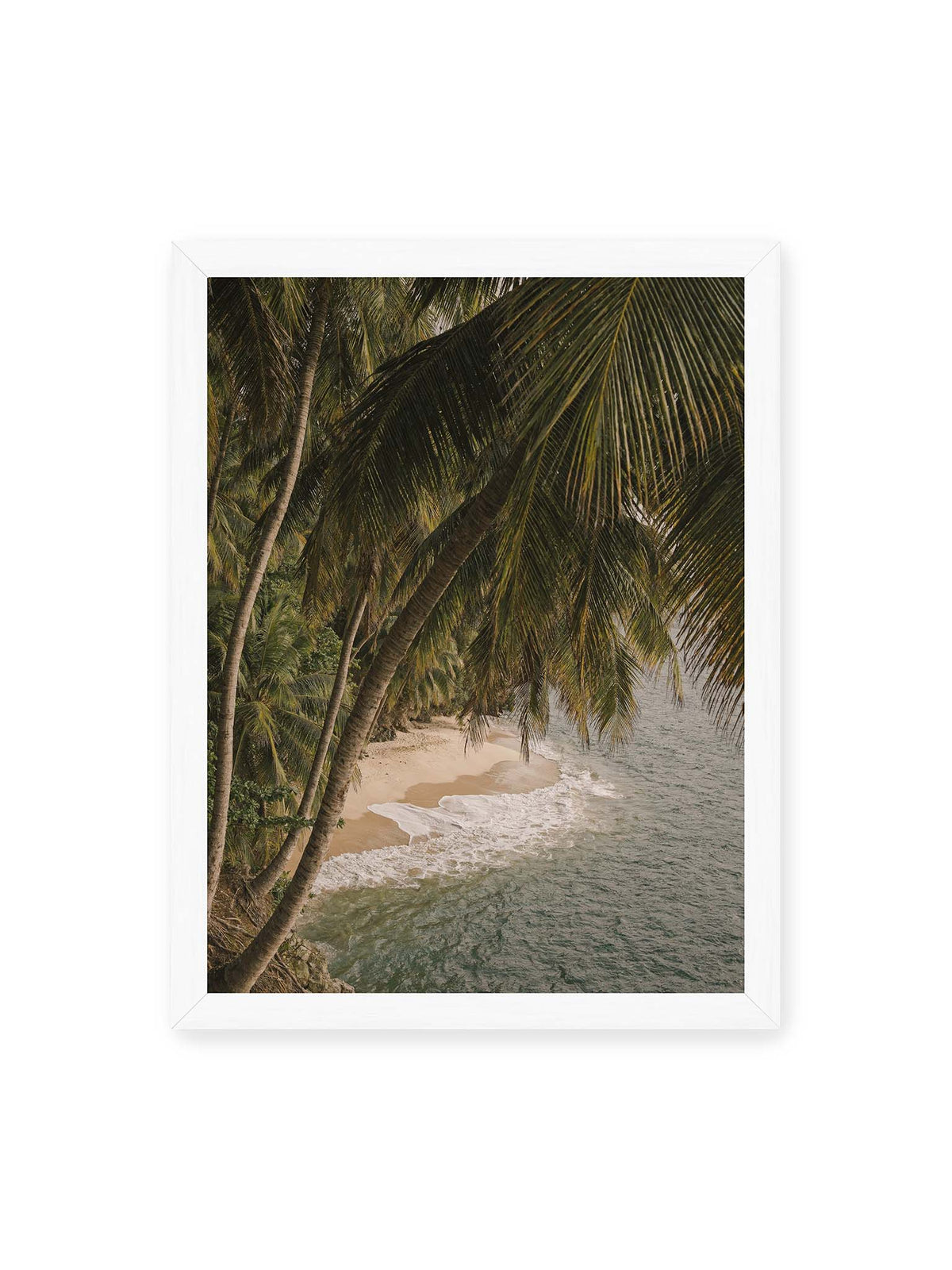 30x40 cm, weißer Rahmen – Palmen über einer schmalen Sandküste mit sanften Wellen und grünlichem Meer.