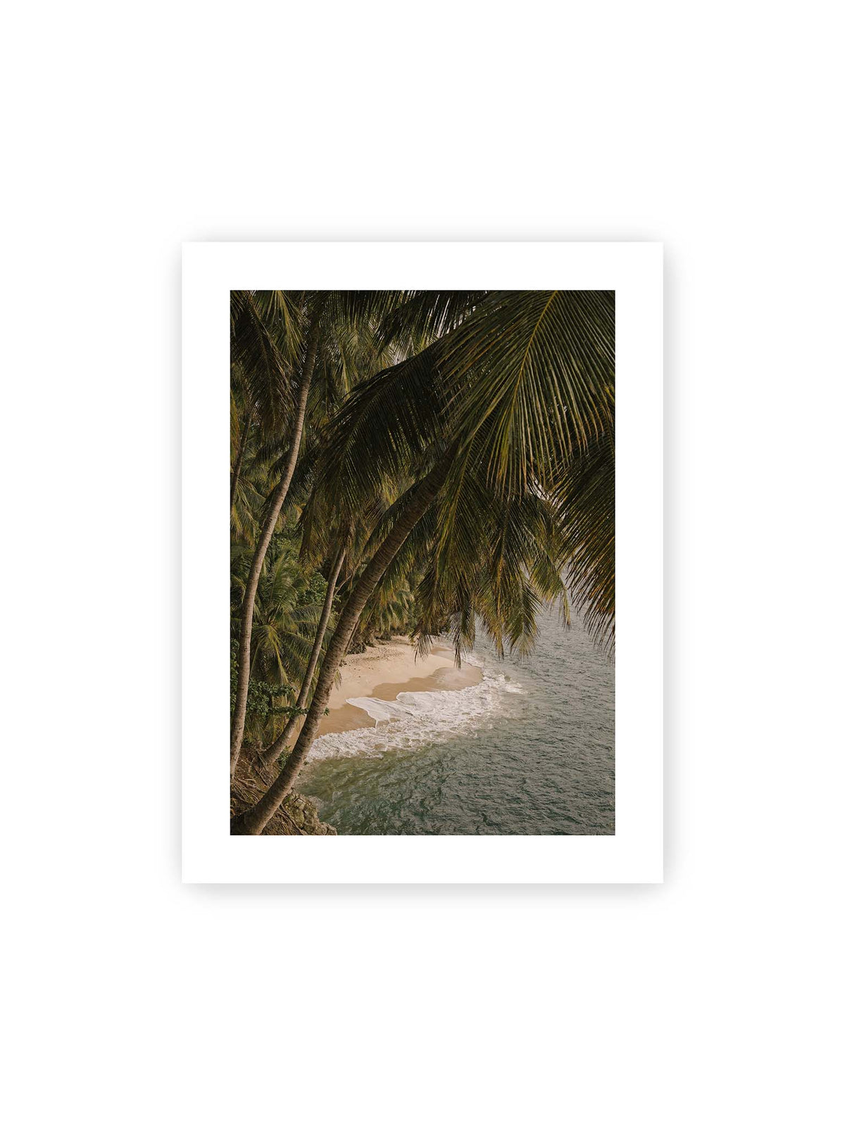 30x40 cm, weißer Galerie-Rand – Palmen über einer schmalen Sandküste mit sanften Wellen und grünlichem Meer.