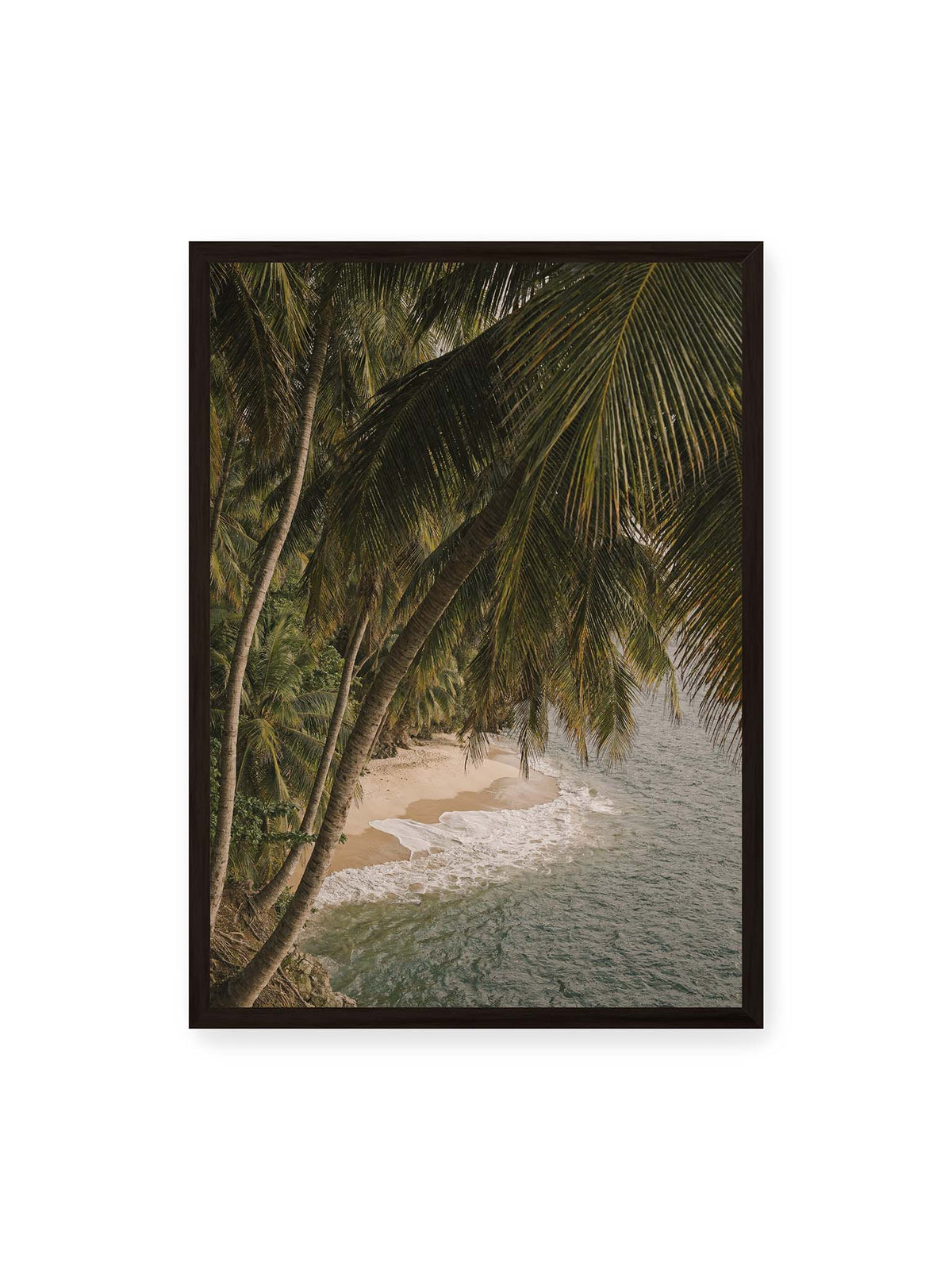 50x70 cm, schwarzer Rahmen – Palmen über einer schmalen Sandküste mit sanften Wellen und grünlichem Meer.