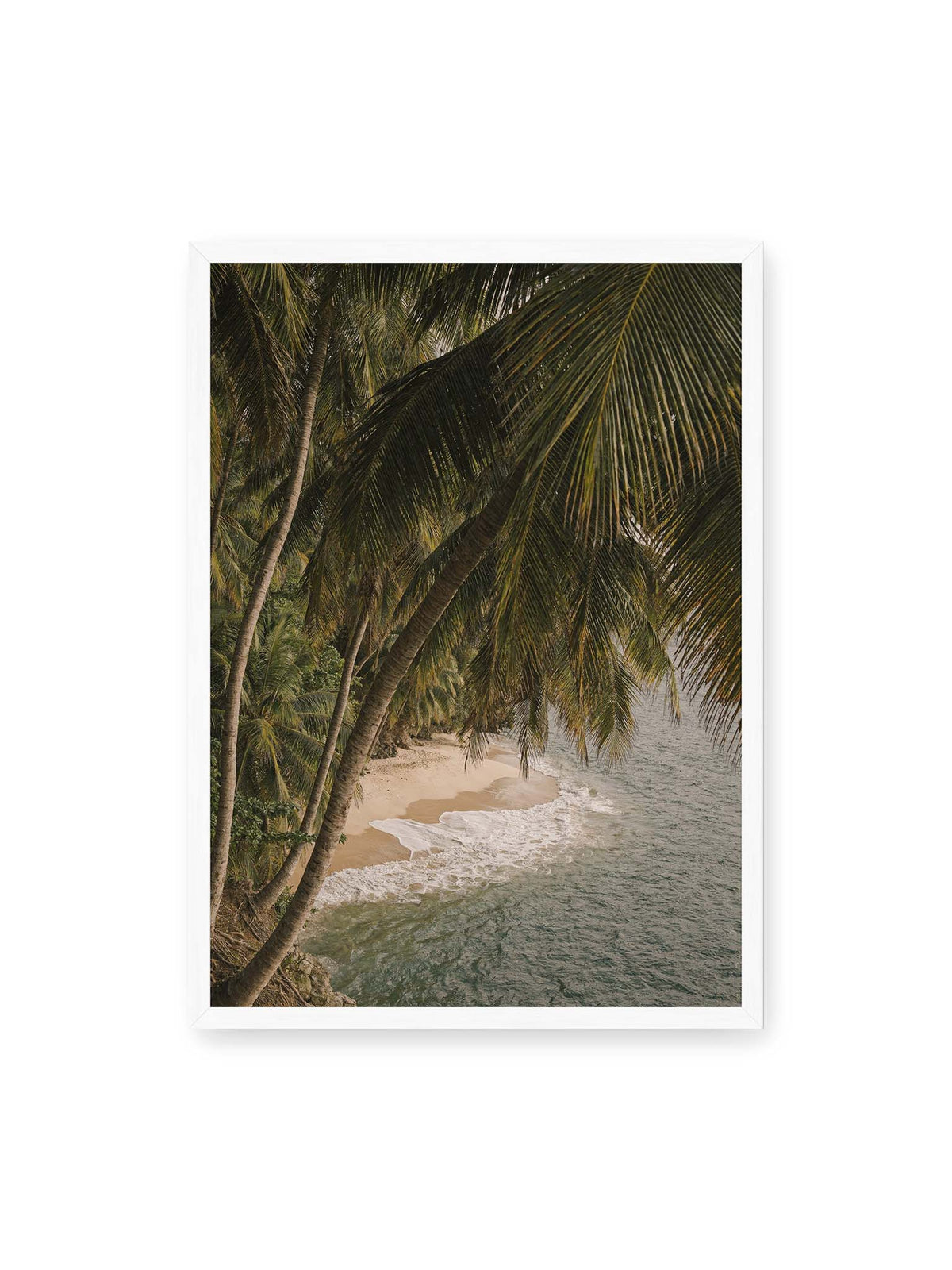 50x70 cm, weißer Rahmen – Palmen über einer schmalen Sandküste mit sanften Wellen und grünlichem Meer.