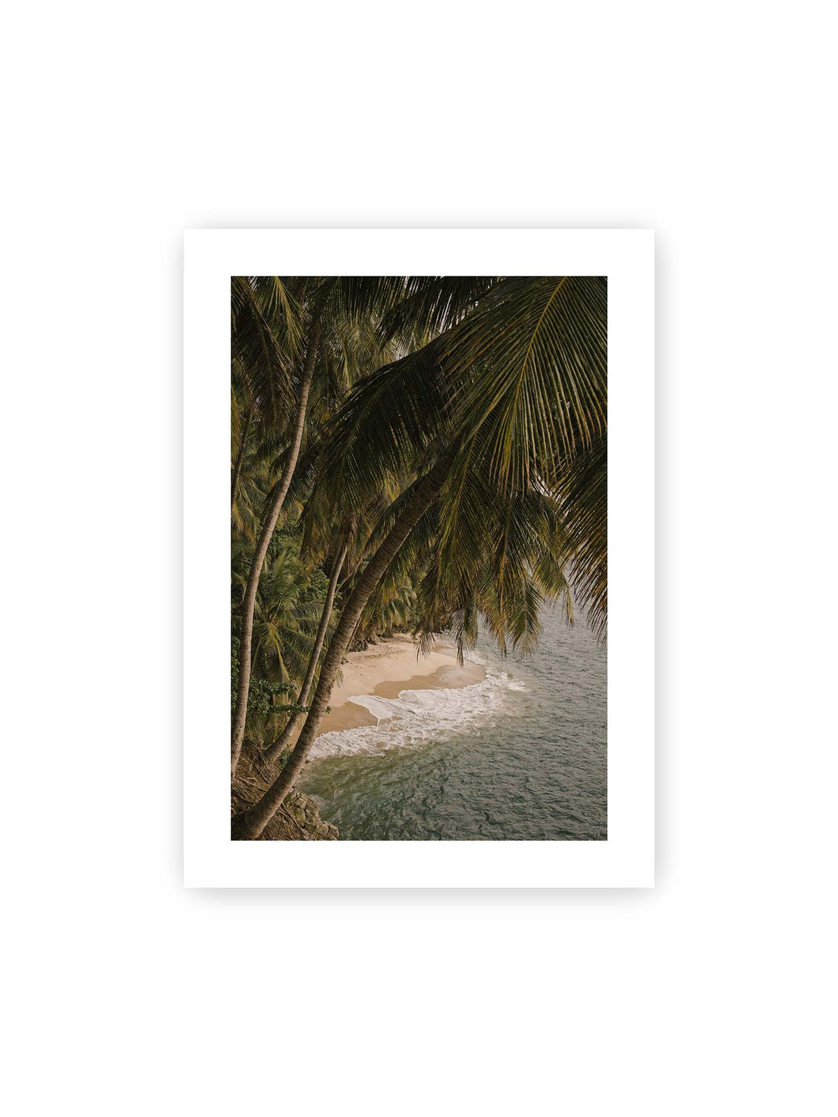 50x70 cm, weißer Galerie-Rand – Palmen über einer schmalen Sandküste mit sanften Wellen und grünlichem Meer.
