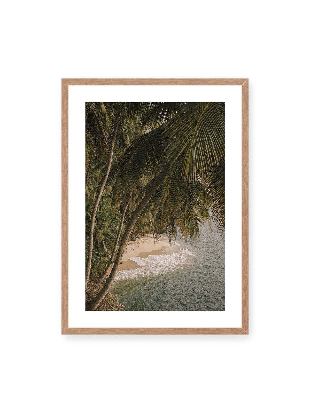 Tropical Hideaway