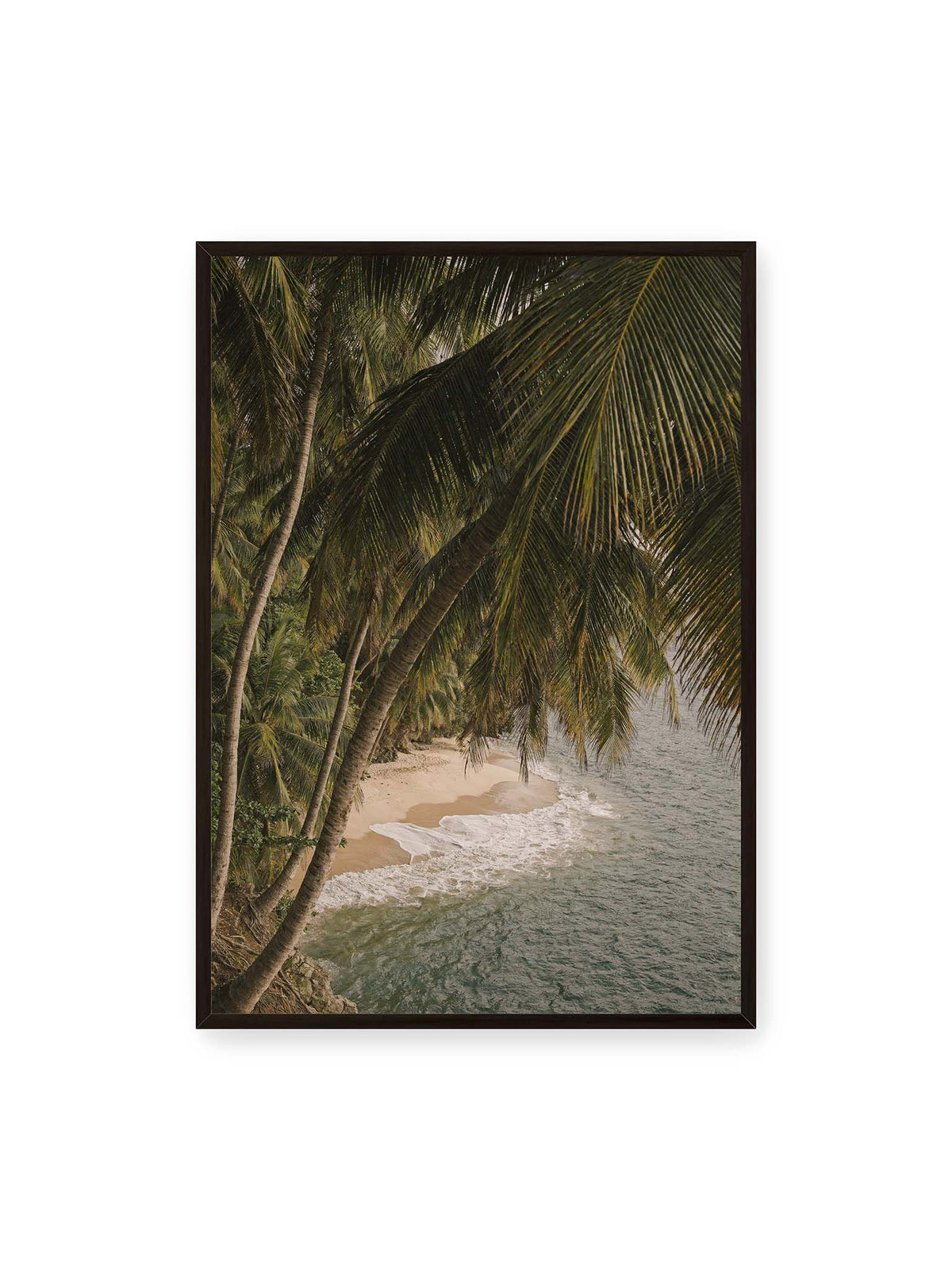 70x100 cm, schwarzer Rahmen – Palmen über einer schmalen Sandküste mit sanften Wellen und grünlichem Meer.