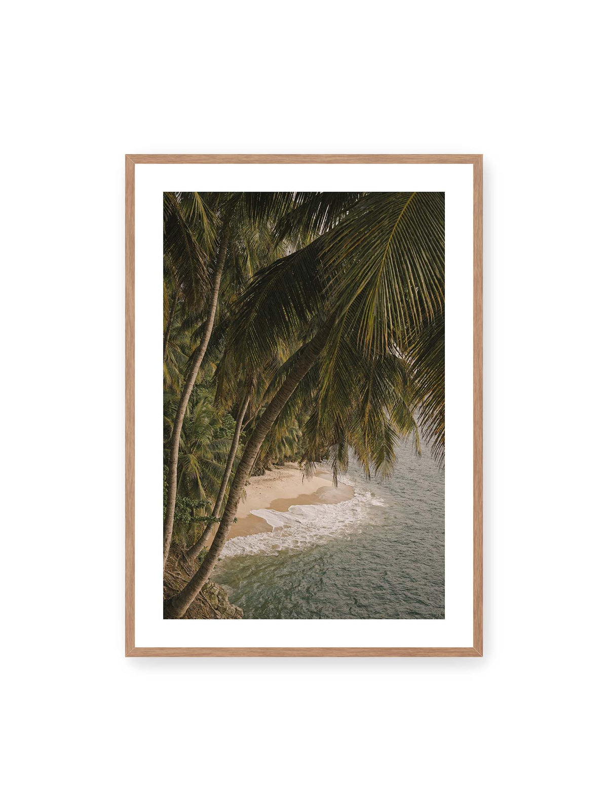 70x100 cm, weißer Galerie-Rand, Eichenrahmen – Palmen über einer schmalen Sandküste mit sanften Wellen und grünlichem Meer.