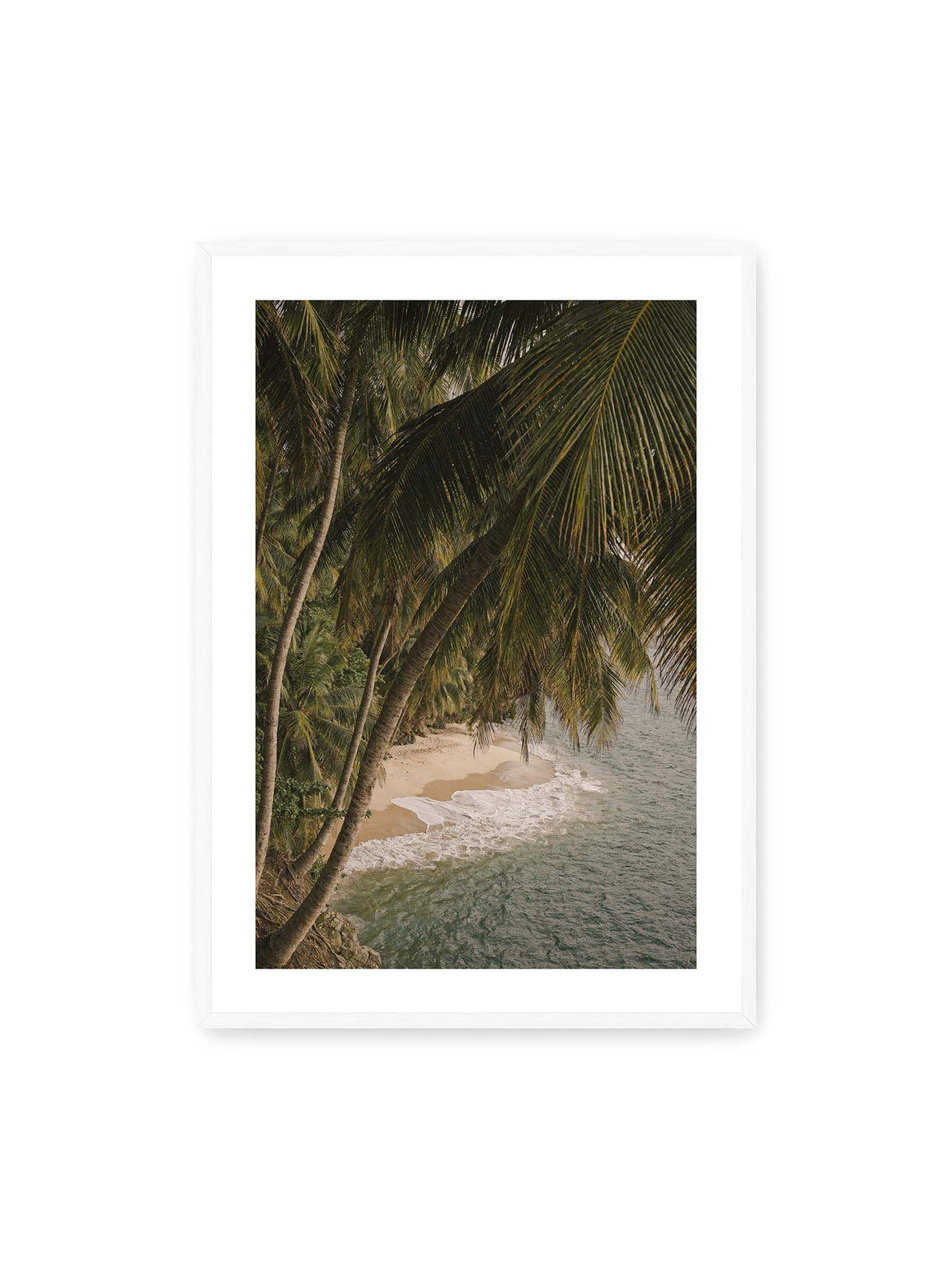 70x100 cm, weißer Galerie-Rand, weißer Rahmen – Palmen über einer schmalen Sandküste mit sanften Wellen und grünlichem Meer.