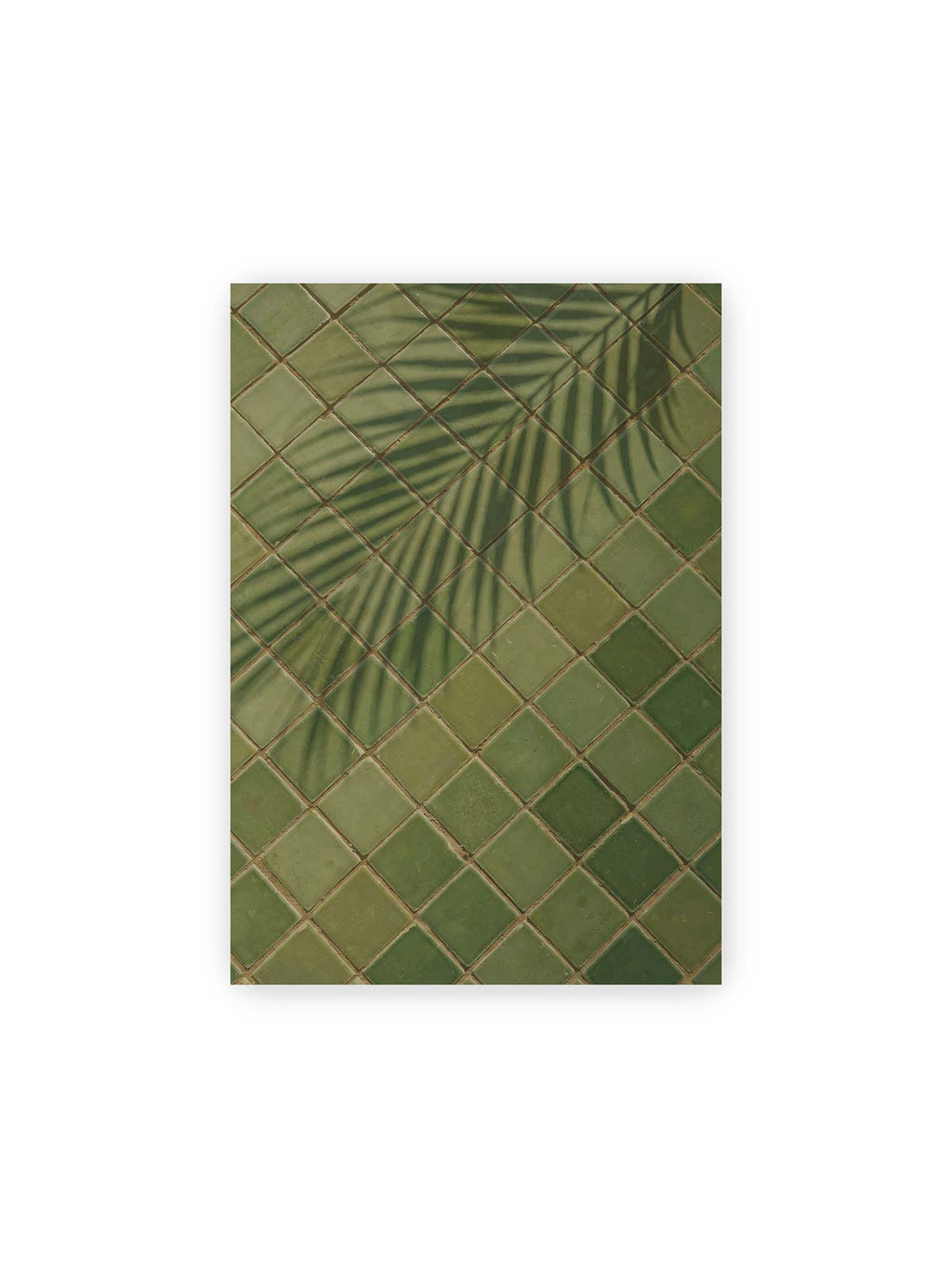 21x30 cm – Grüne quadratische Fliesen im diagonalen Raster mit den weichen Schatten von Palmwedeln.