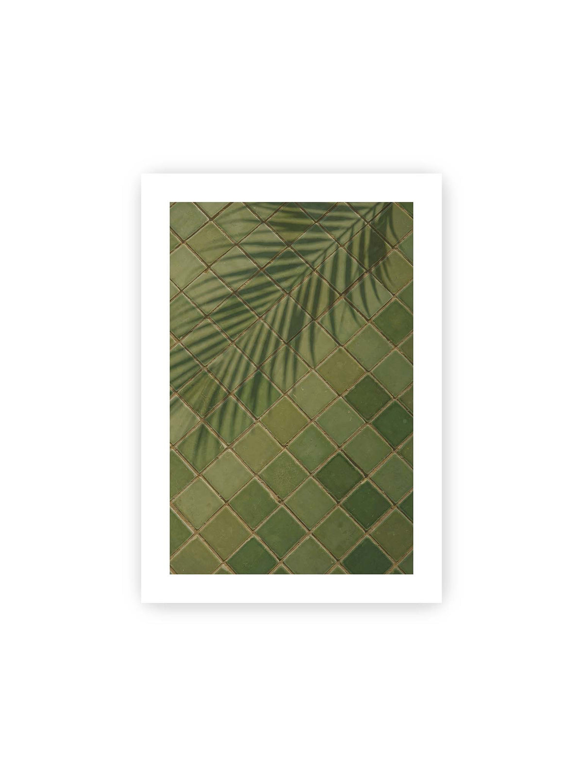 21x30 cm, weißer Galerie-Rand – Grüne quadratische Fliesen im diagonalen Raster mit den weichen Schatten von Palmwedeln.