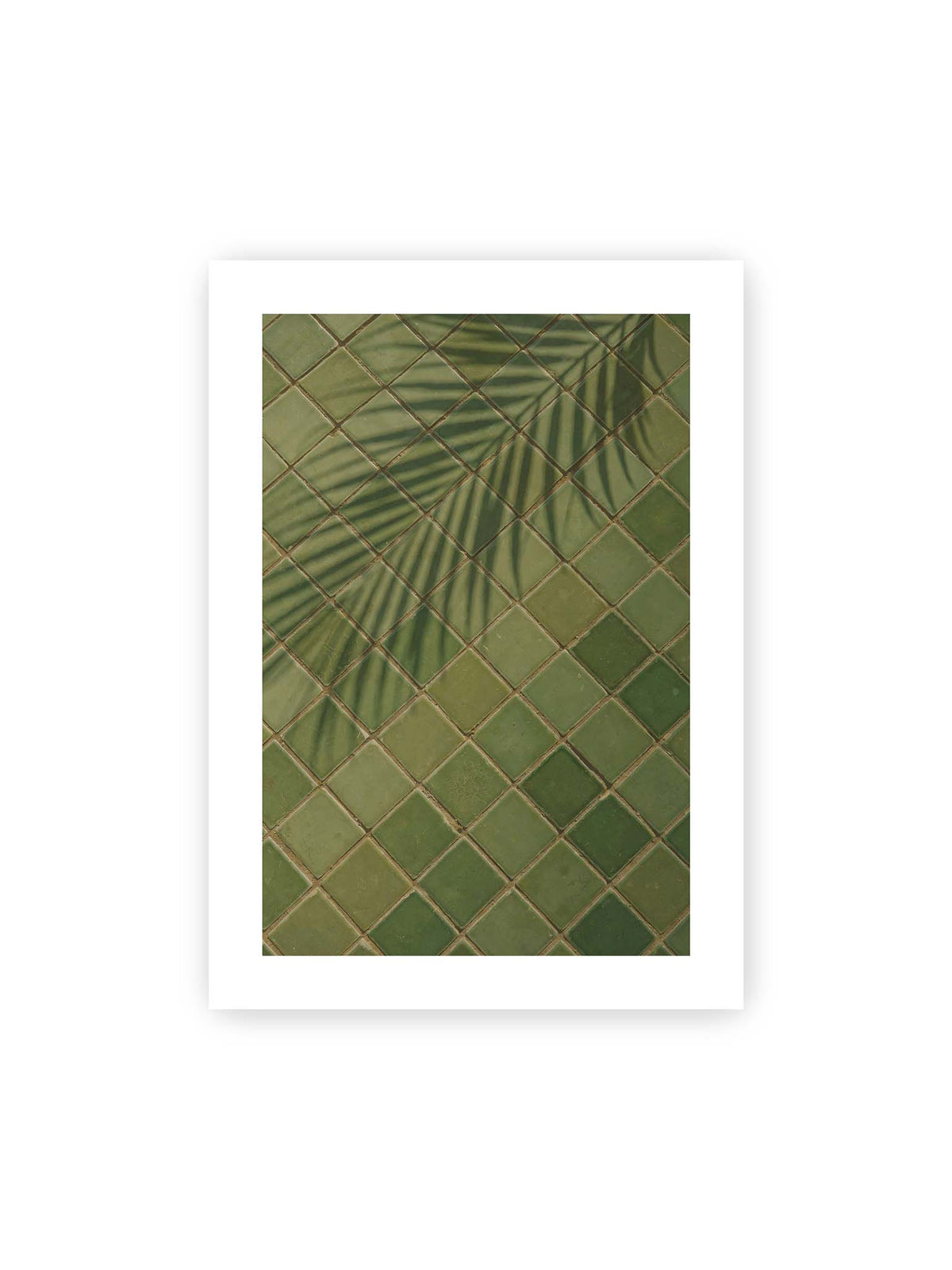 50x70 cm, weißer Galerie-Rand – Grüne quadratische Fliesen im diagonalen Raster mit den weichen Schatten von Palmwedeln.