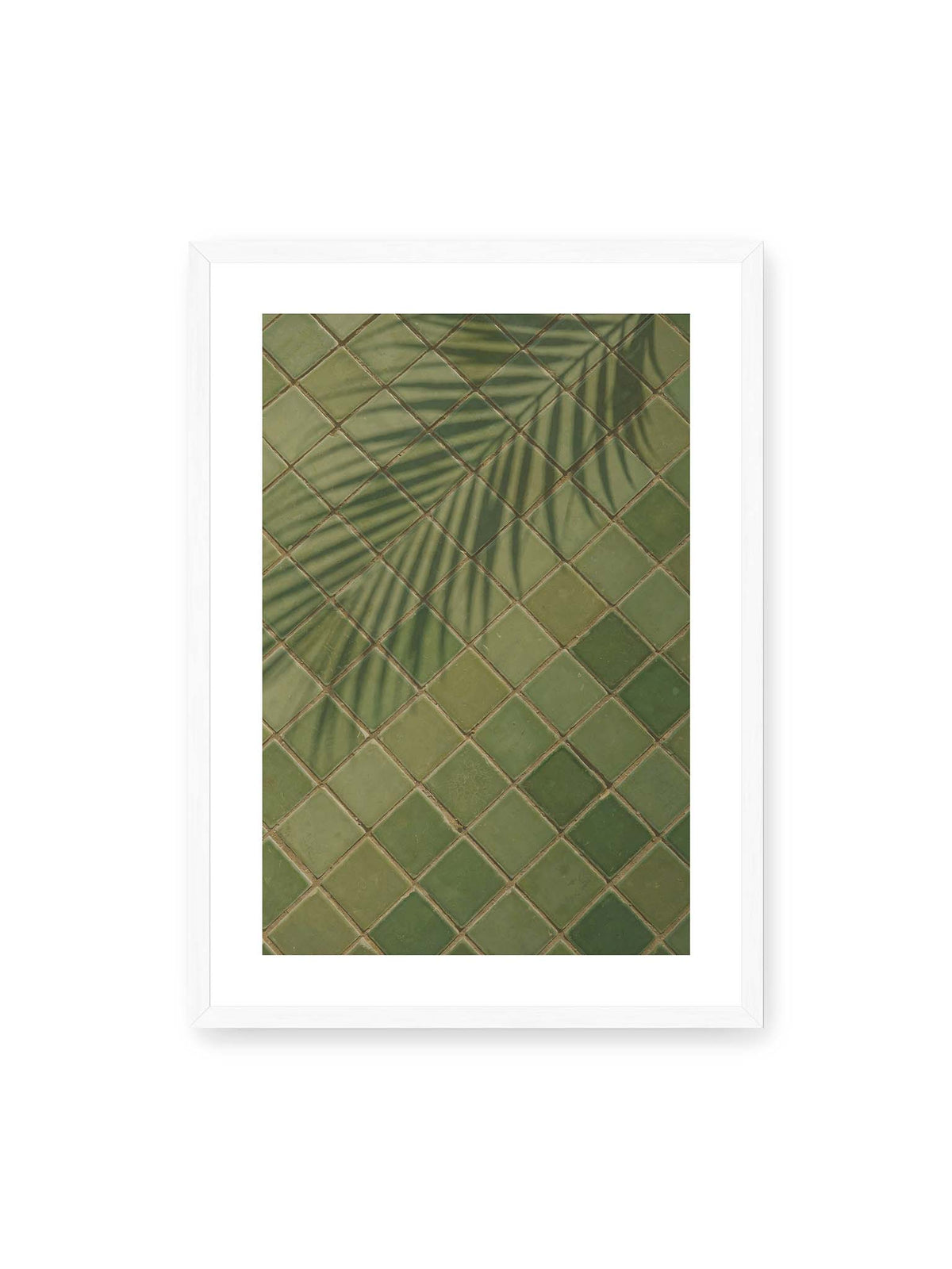 50x70 cm, weißer Galerie-Rand, weißer Rahmen – Grüne quadratische Fliesen im diagonalen Raster mit den weichen Schatten von Palmwedeln.