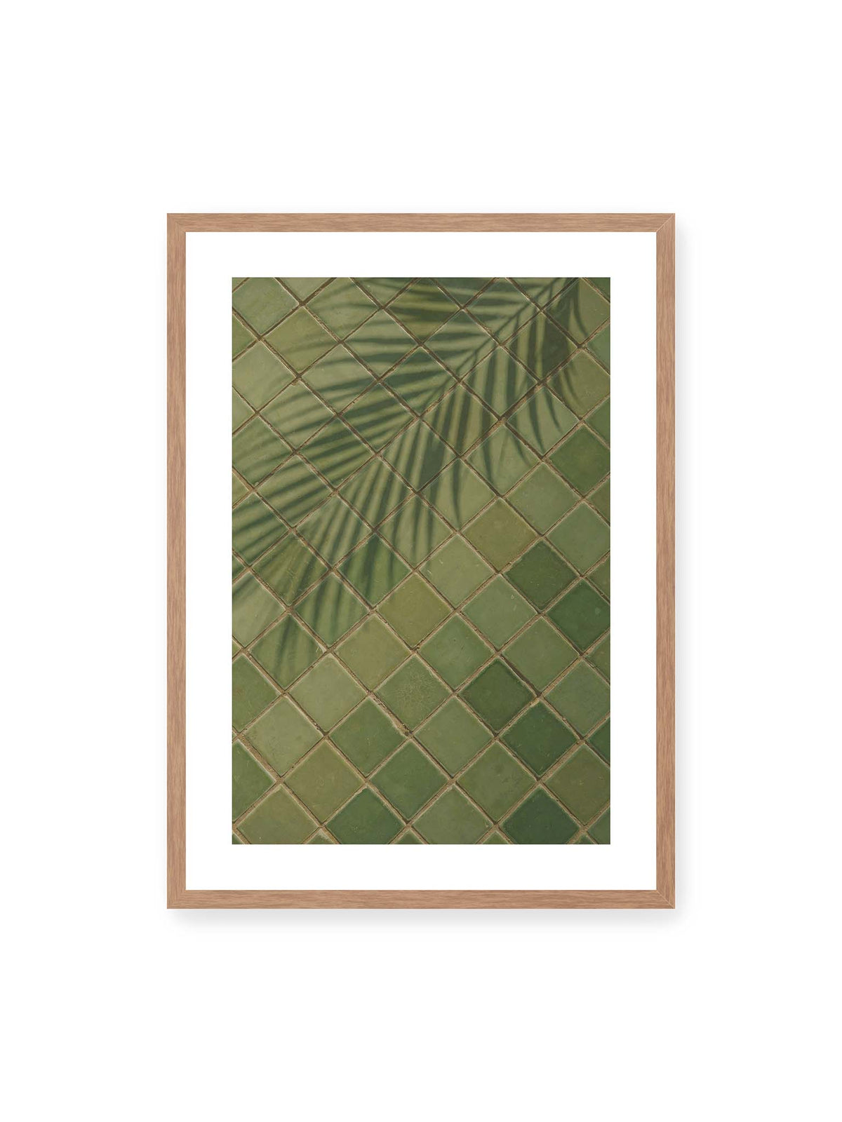 Fronds on Green