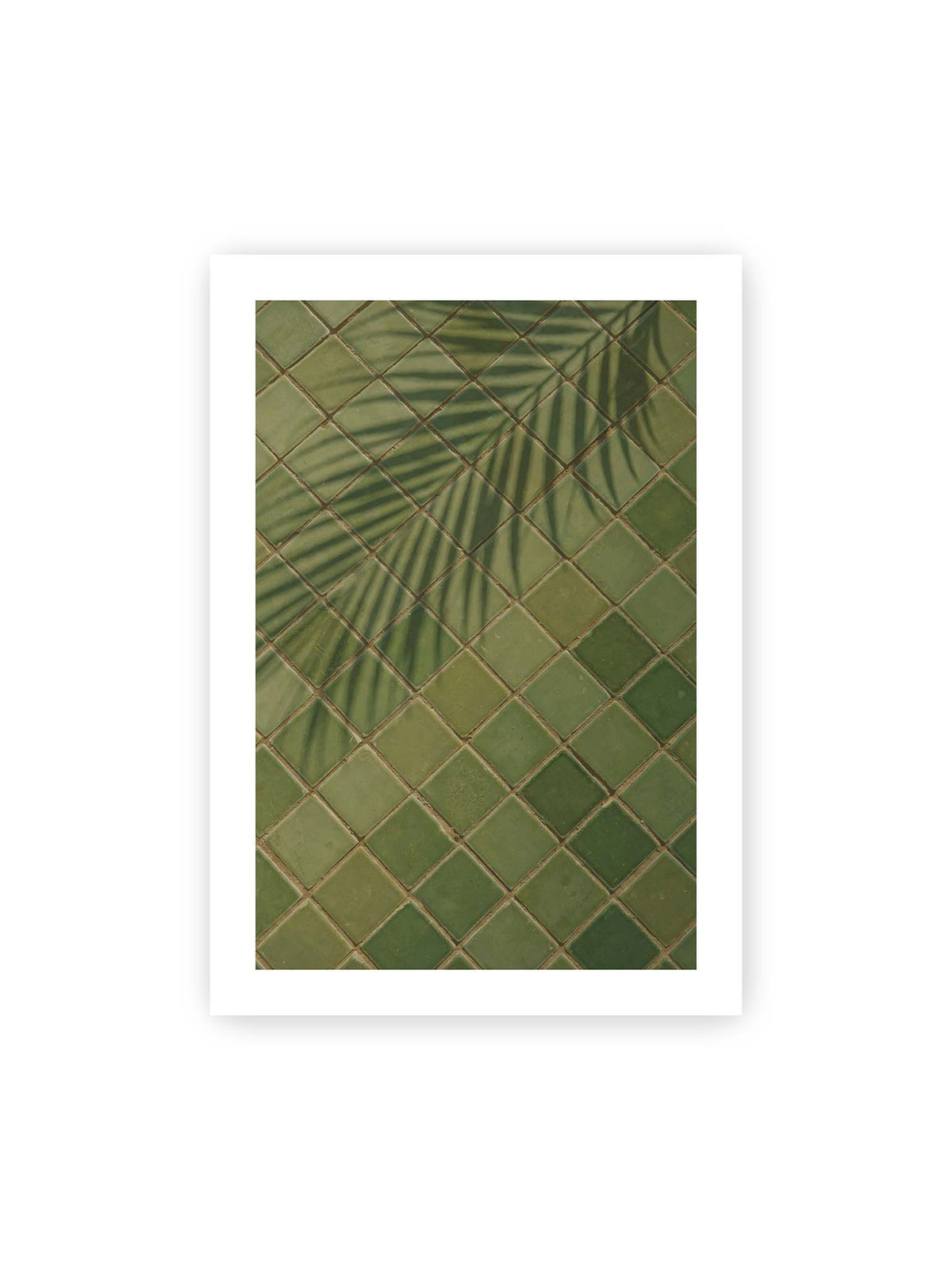 70x100 cm, weißer Galerie-Rand – Grüne quadratische Fliesen im diagonalen Raster mit den weichen Schatten von Palmwedeln.