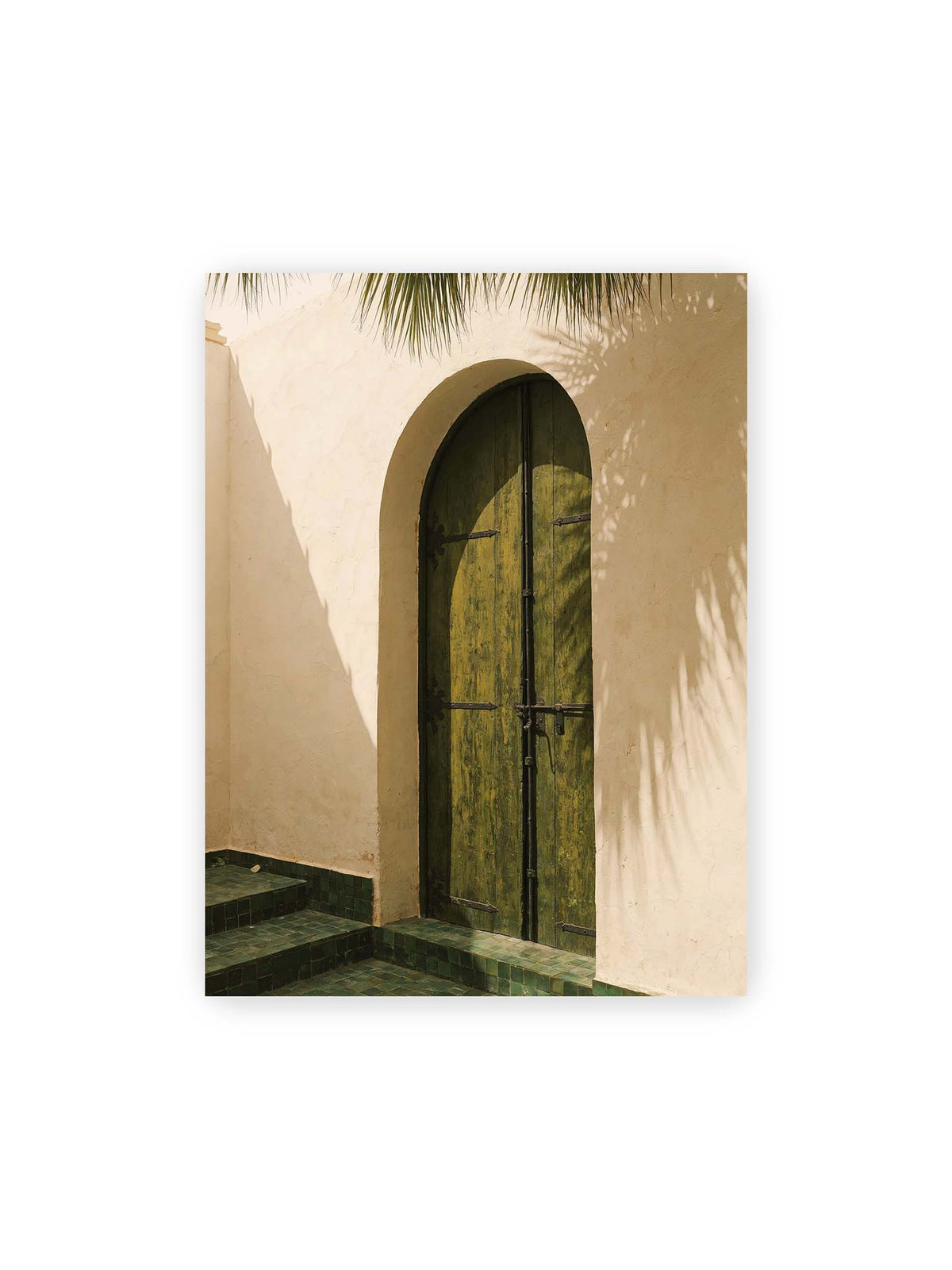 30x40 cm – Grüne Holztür in einem Rundbogen mit Palmwedelschatten auf heller Wand und grünen Fliesen.