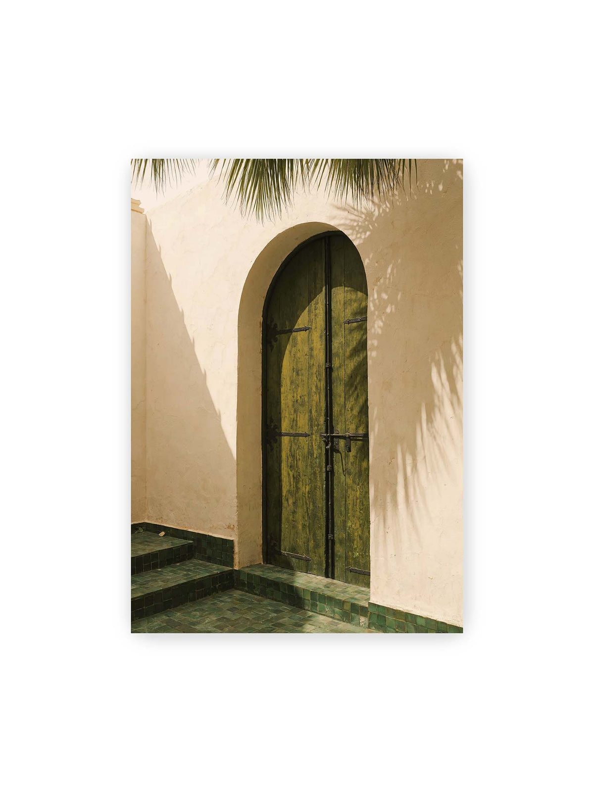 70x100 cm – Grüne Holztür in einem Rundbogen mit Palmwedelschatten auf heller Wand und grünen Fliesen.