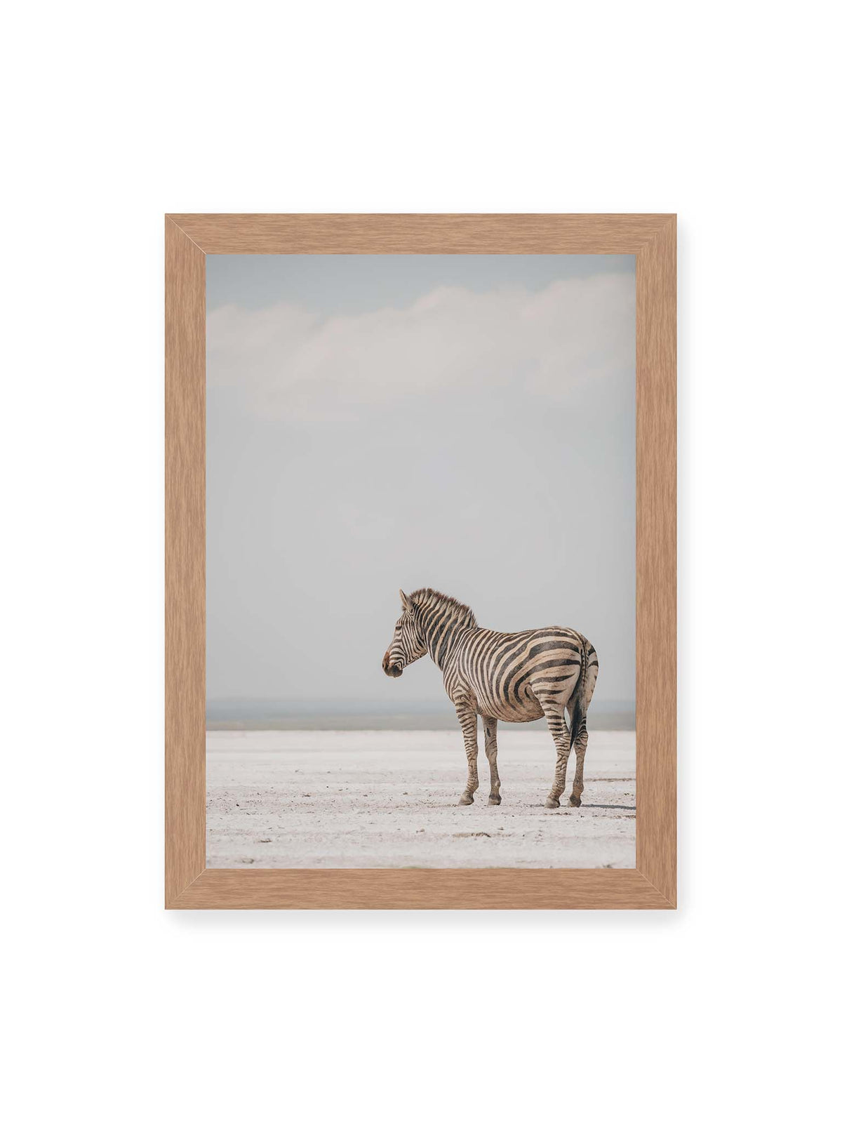 21x30 cm, Eichenrahmen – Einzelnes Zebra im Profil auf einer hellen, offenen Ebene unter weitem grauem Himmel.