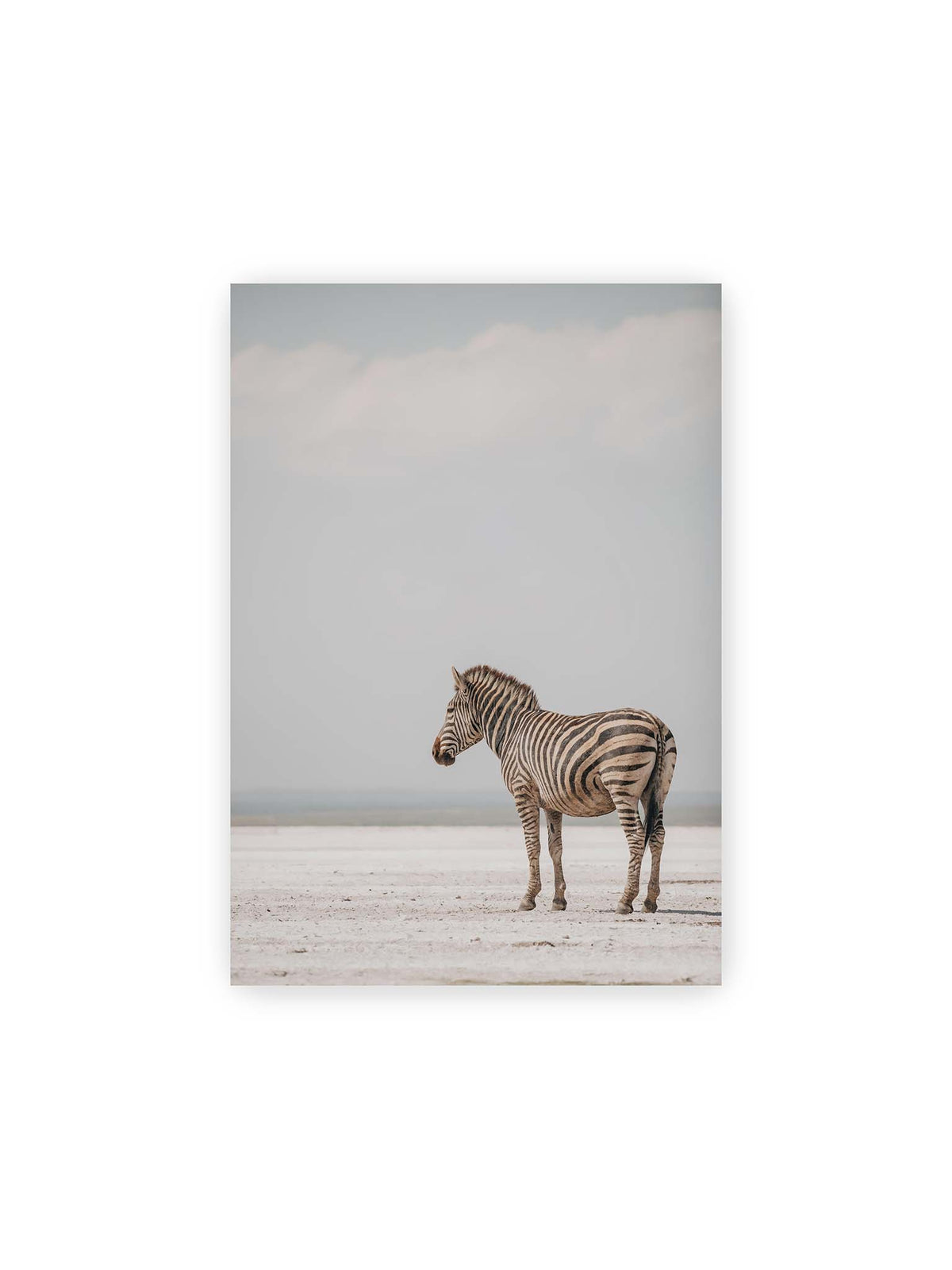 21x30 cm – Einzelnes Zebra im Profil auf einer hellen, offenen Ebene unter weitem grauem Himmel.