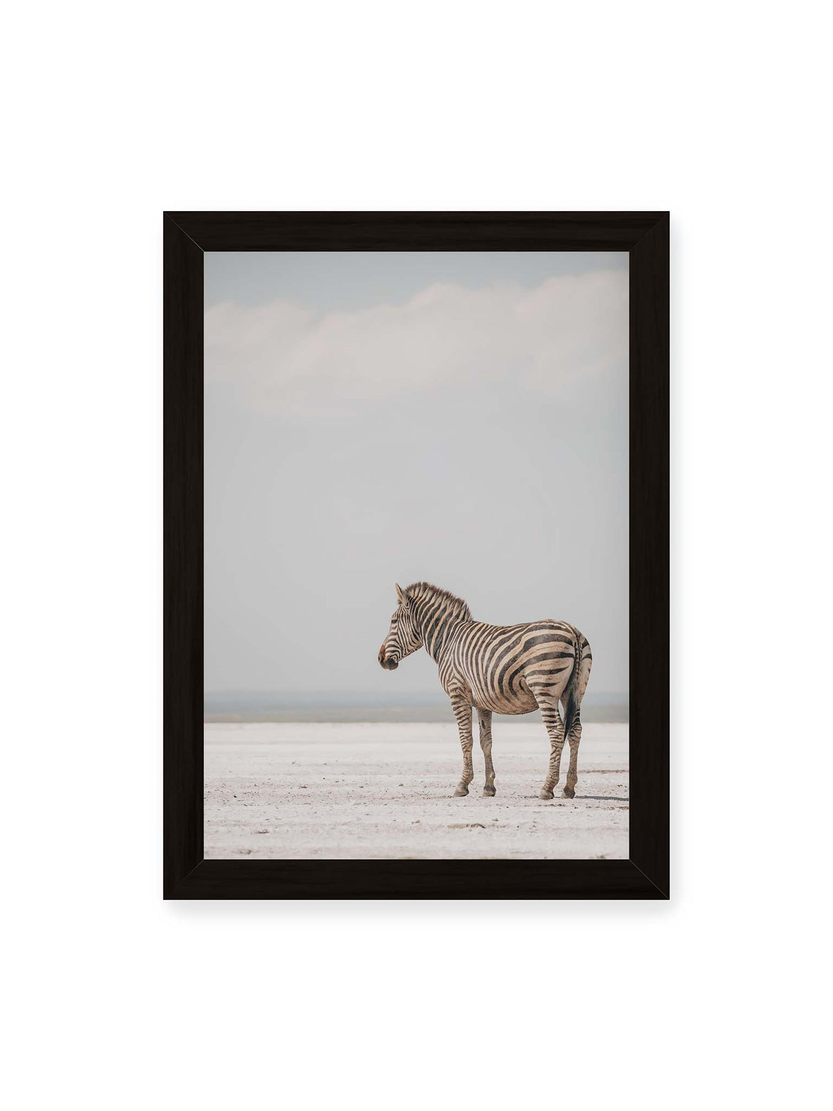21x30 cm, schwarzer Rahmen – Einzelnes Zebra im Profil auf einer hellen, offenen Ebene unter weitem grauem Himmel.