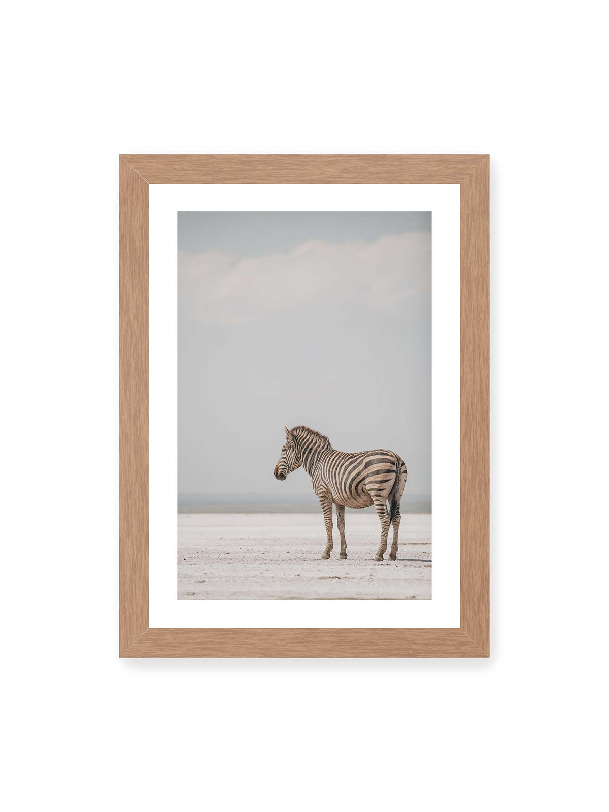 21x30 cm, weißer Galerie-Rand, Eichenrahmen – Einzelnes Zebra im Profil auf einer hellen, offenen Ebene unter weitem grauem Himmel.