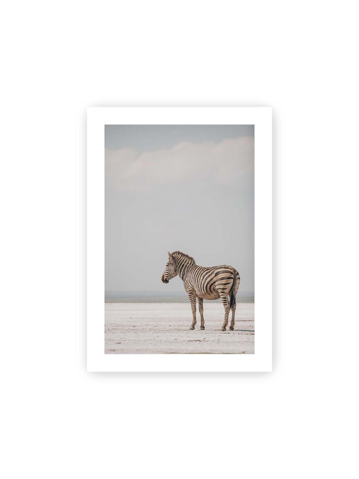 21x30 cm, weißer Galerie-Rand – Einzelnes Zebra im Profil auf einer hellen, offenen Ebene unter weitem grauem Himmel.