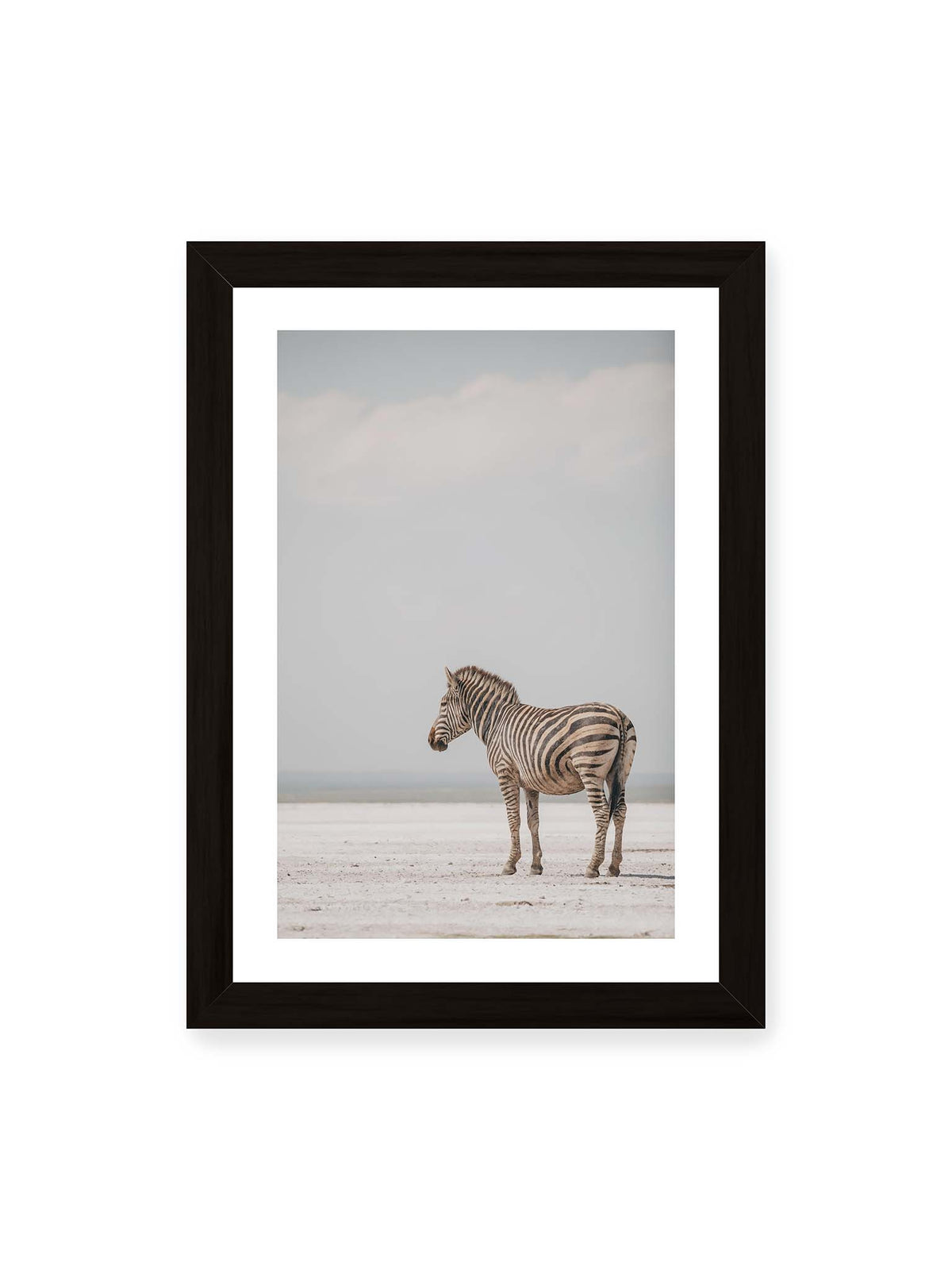 21x30 cm, weißer Galerie-Rand, schwarzer Rahmen – Einzelnes Zebra im Profil auf einer hellen, offenen Ebene unter weitem grauem Himmel.