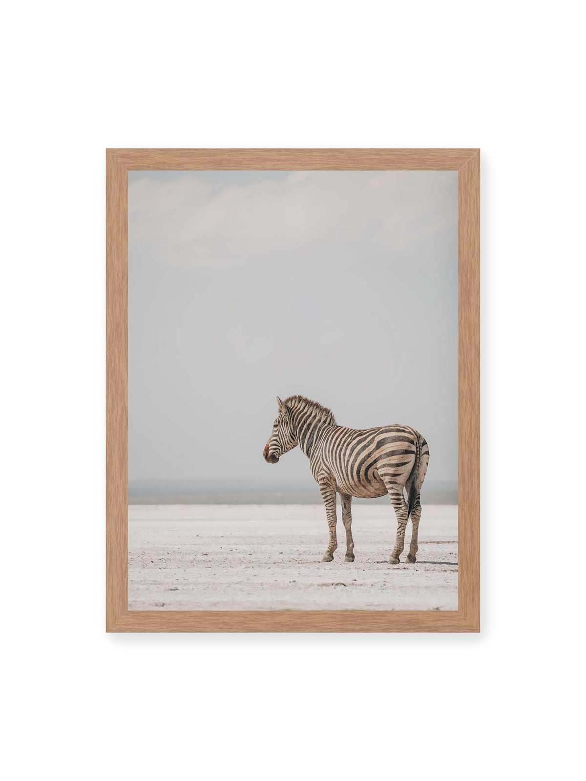 30x40 cm, Eichenrahmen – Einzelnes Zebra im Profil auf einer hellen, offenen Ebene unter weitem grauem Himmel.