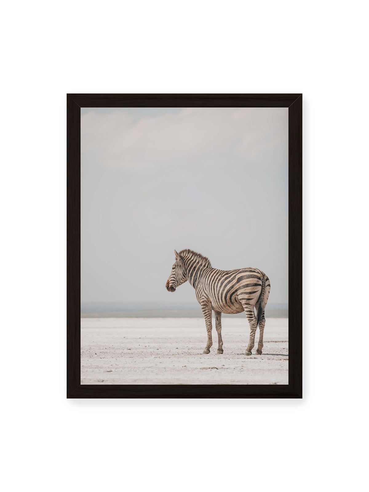 30x40 cm, schwarzer Rahmen – Einzelnes Zebra im Profil auf einer hellen, offenen Ebene unter weitem grauem Himmel.
