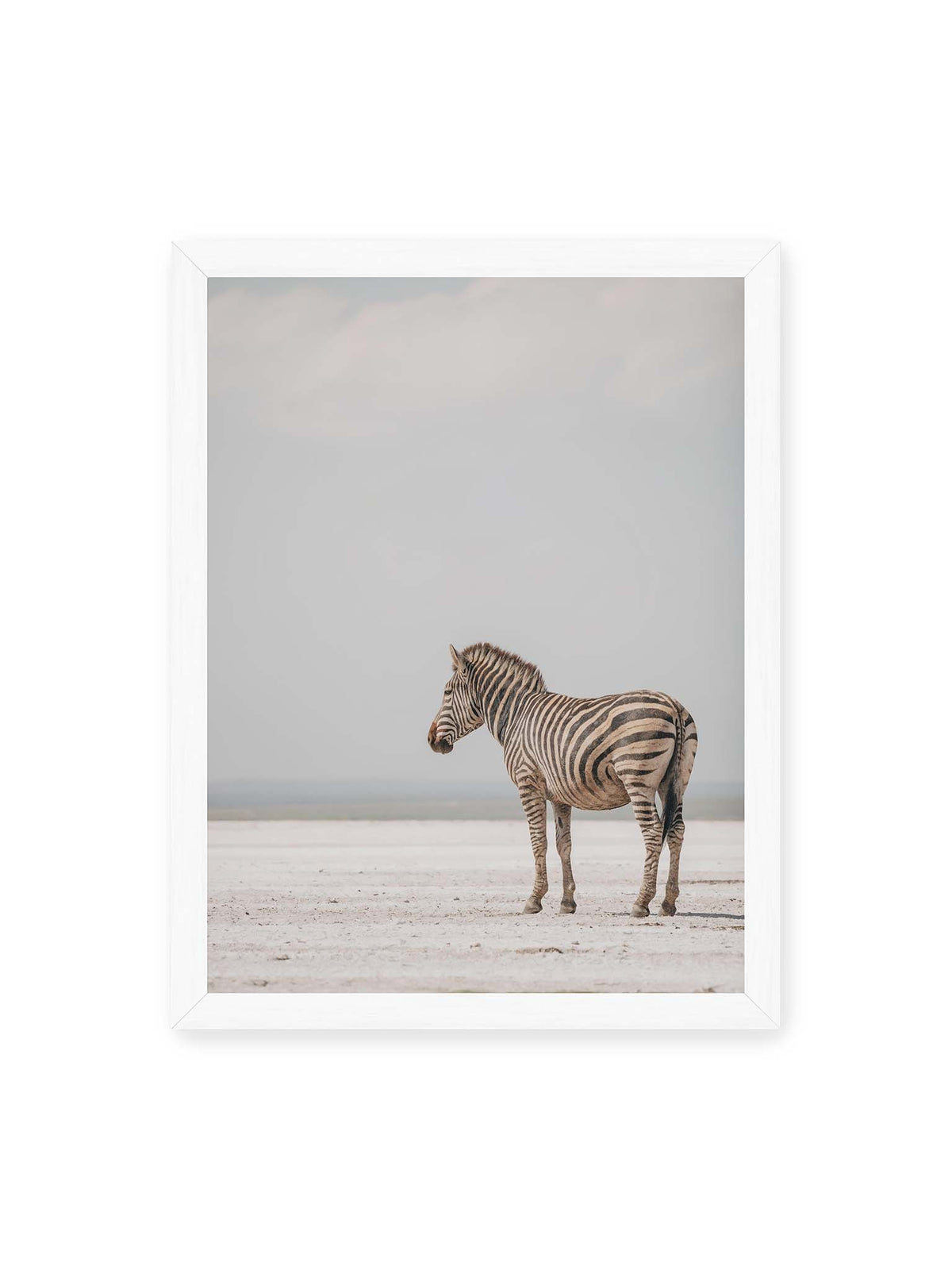 30x40 cm, weißer Rahmen – Einzelnes Zebra im Profil auf einer hellen, offenen Ebene unter weitem grauem Himmel.