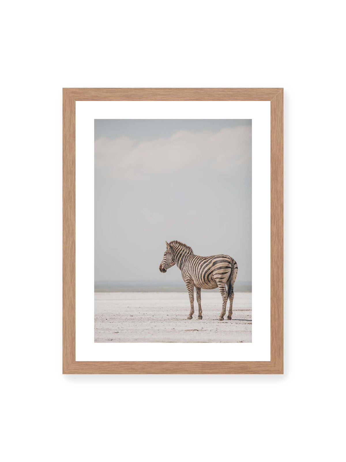 30x40 cm, weißer Galerie-Rand, Eichenrahmen – Einzelnes Zebra im Profil auf einer hellen, offenen Ebene unter weitem grauem Himmel.