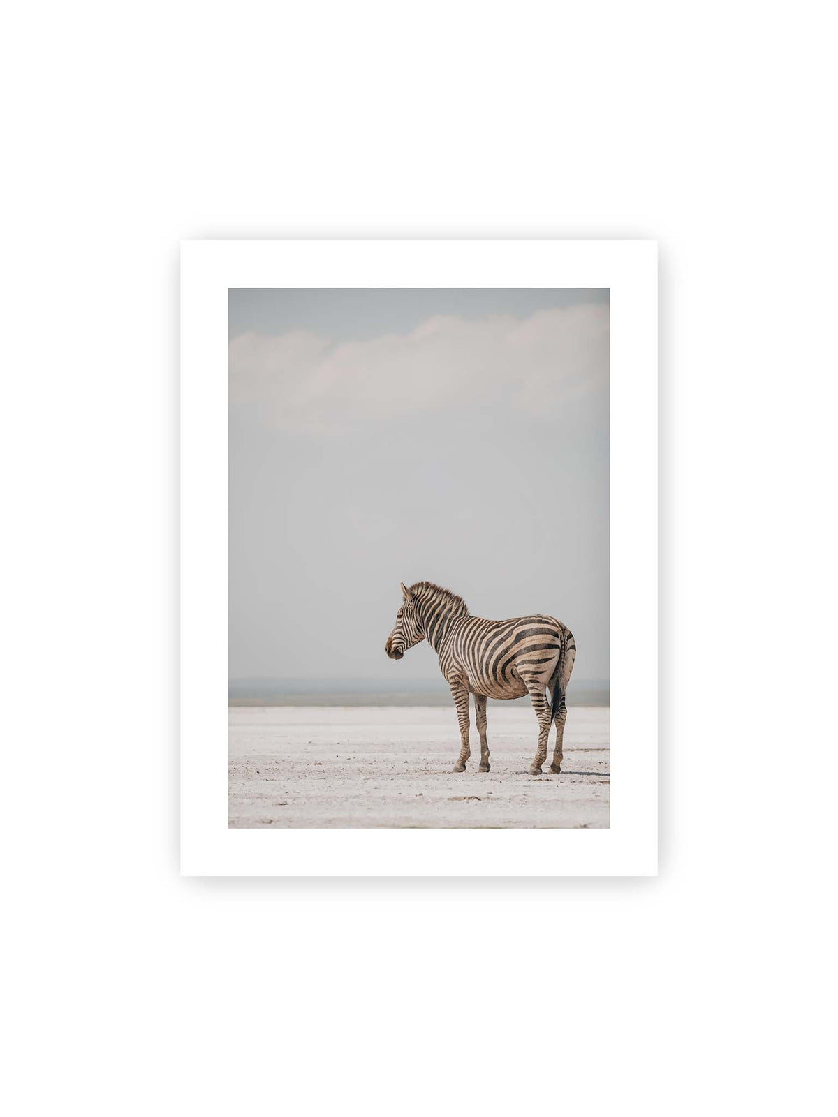30x40 cm, weißer Galerie-Rand – Einzelnes Zebra im Profil auf einer hellen, offenen Ebene unter weitem grauem Himmel.