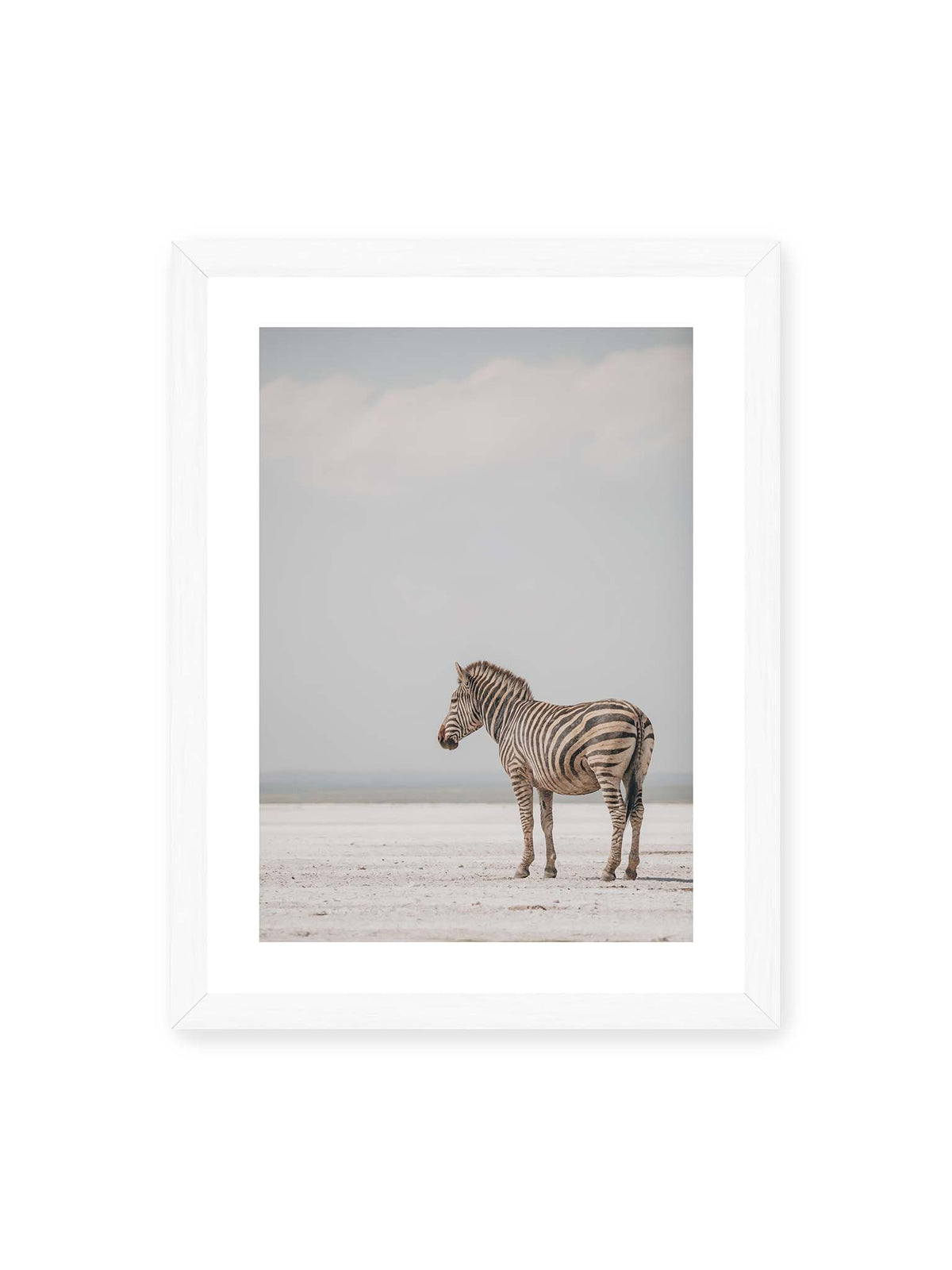 30x40 cm, weißer Galerie-Rand, weißer Rahmen – Einzelnes Zebra im Profil auf einer hellen, offenen Ebene unter weitem grauem Himmel.