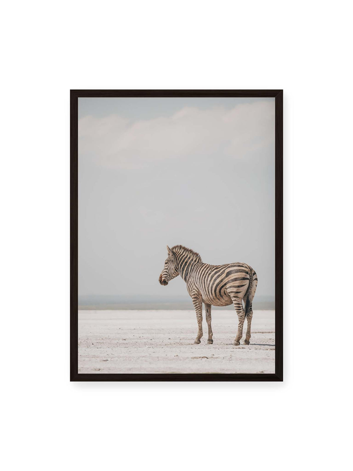 50x70 cm, schwarzer Rahmen – Einzelnes Zebra im Profil auf einer hellen, offenen Ebene unter weitem grauem Himmel.