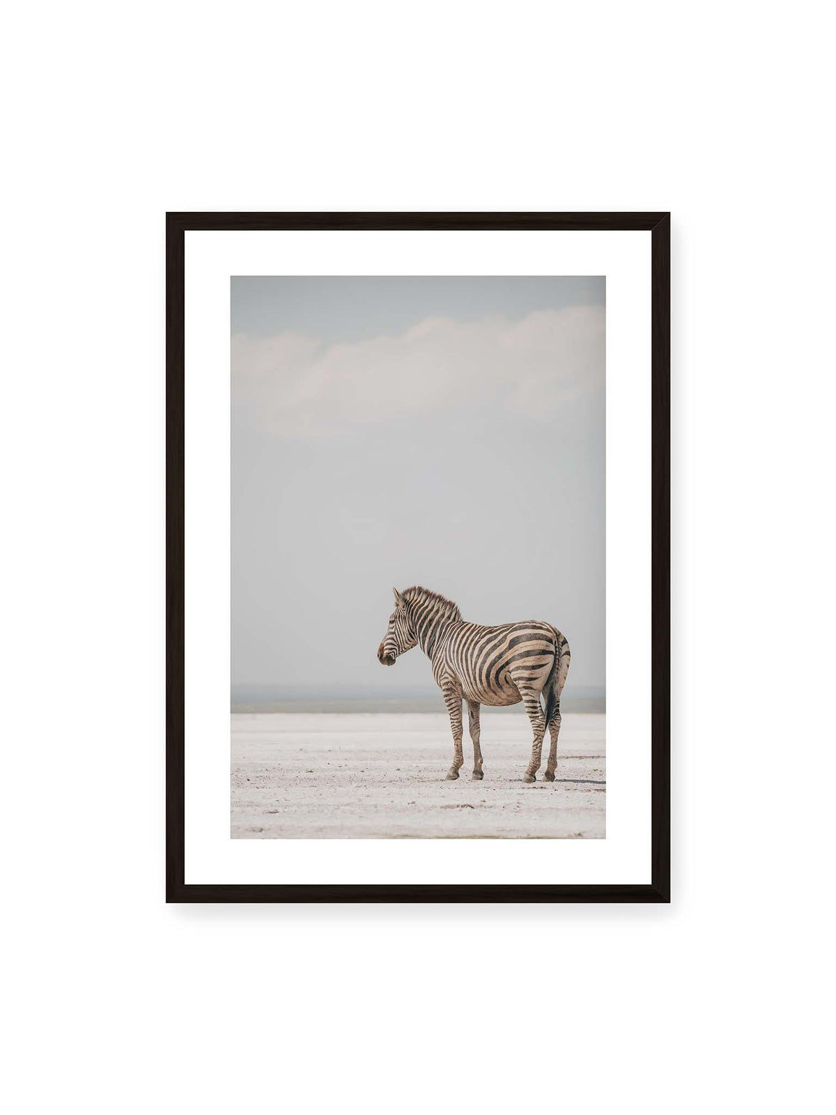 50x70 cm, weißer Galerie-Rand, schwarzer Rahmen – Einzelnes Zebra im Profil auf einer hellen, offenen Ebene unter weitem grauem Himmel.