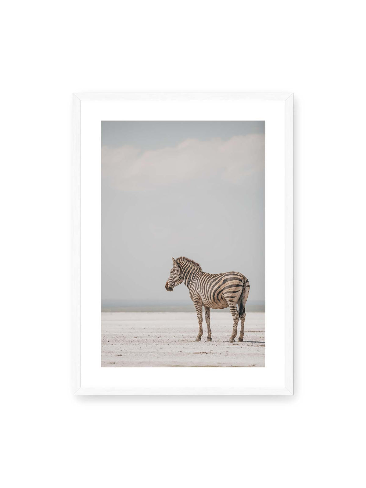 50x70 cm, weißer Galerie-Rand, weißer Rahmen – Einzelnes Zebra im Profil auf einer hellen, offenen Ebene unter weitem grauem Himmel.