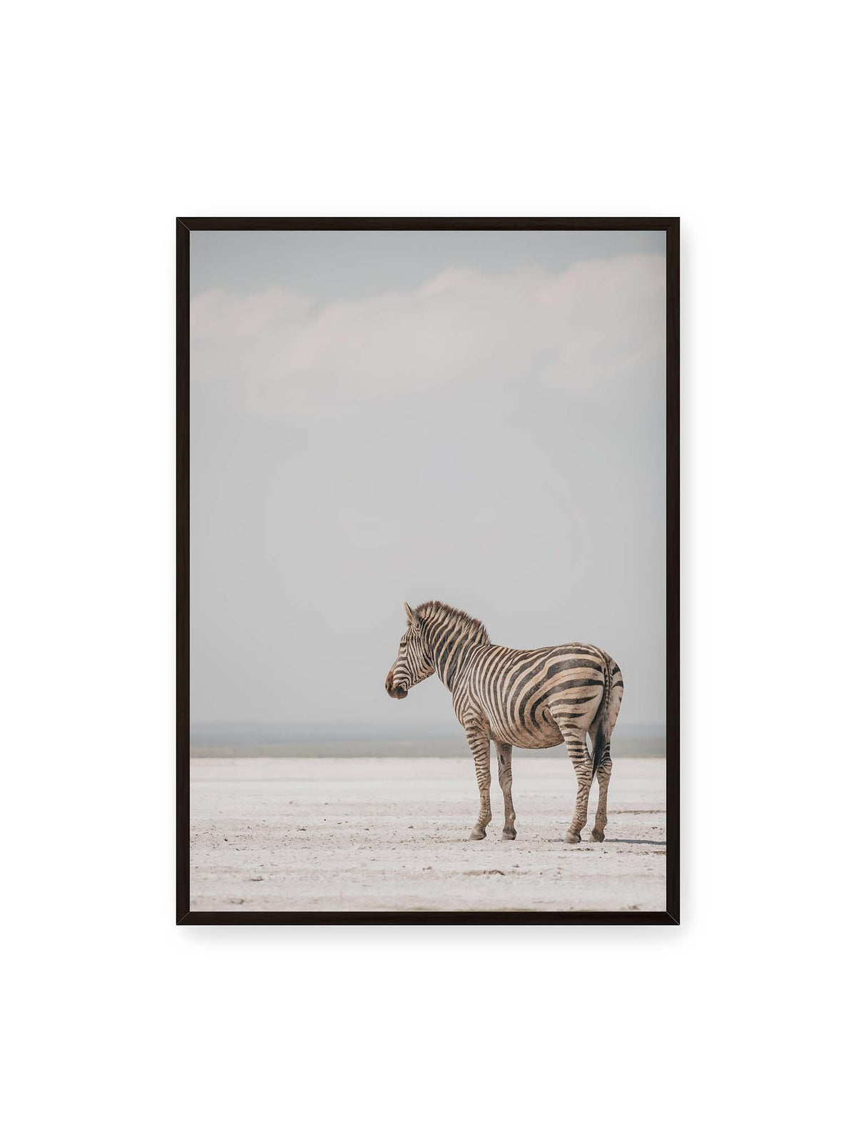 70x100 cm, schwarzer Rahmen – Einzelnes Zebra im Profil auf einer hellen, offenen Ebene unter weitem grauem Himmel.