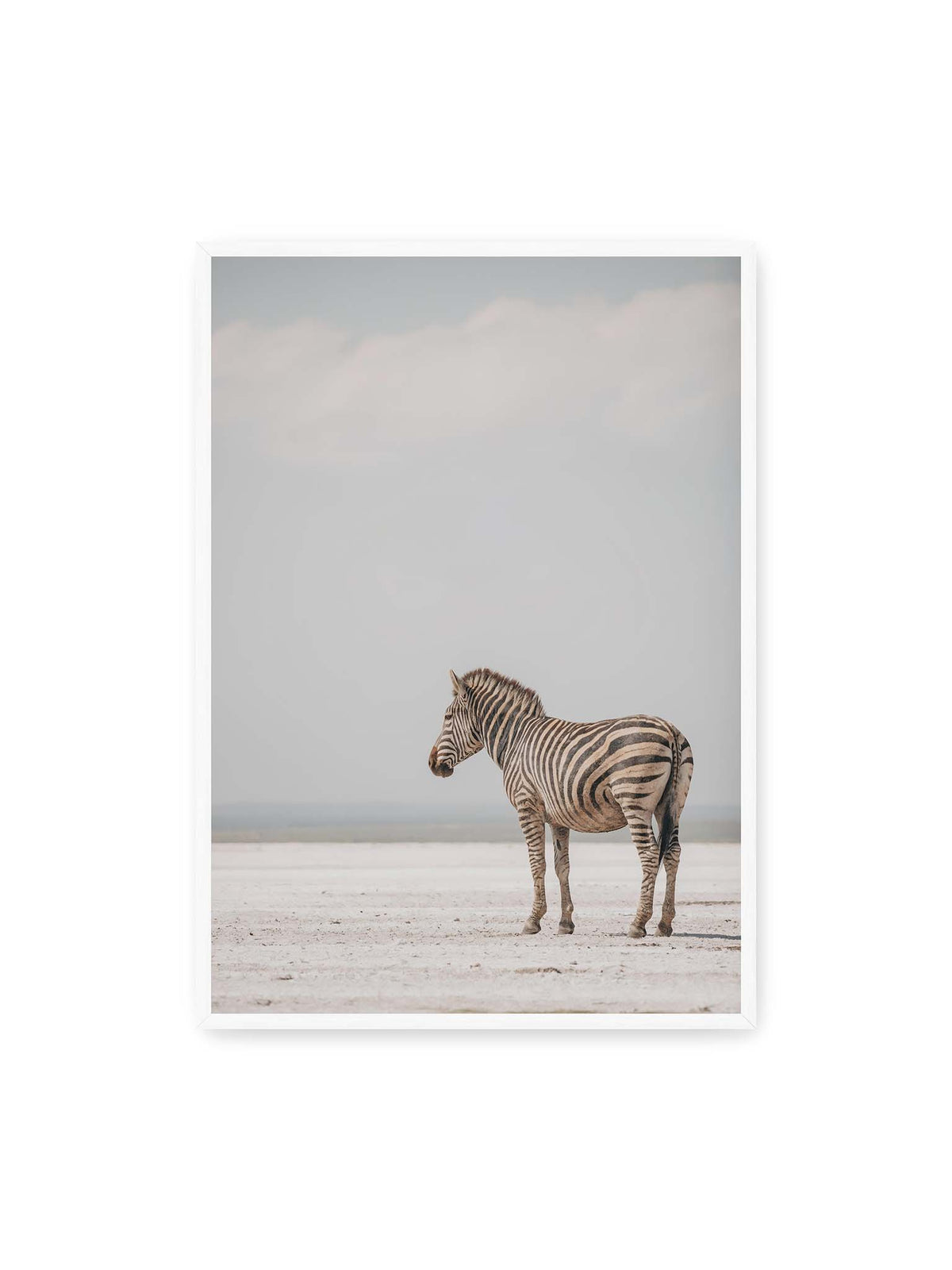 70x100 cm, weißer Rahmen – Einzelnes Zebra im Profil auf einer hellen, offenen Ebene unter weitem grauem Himmel.