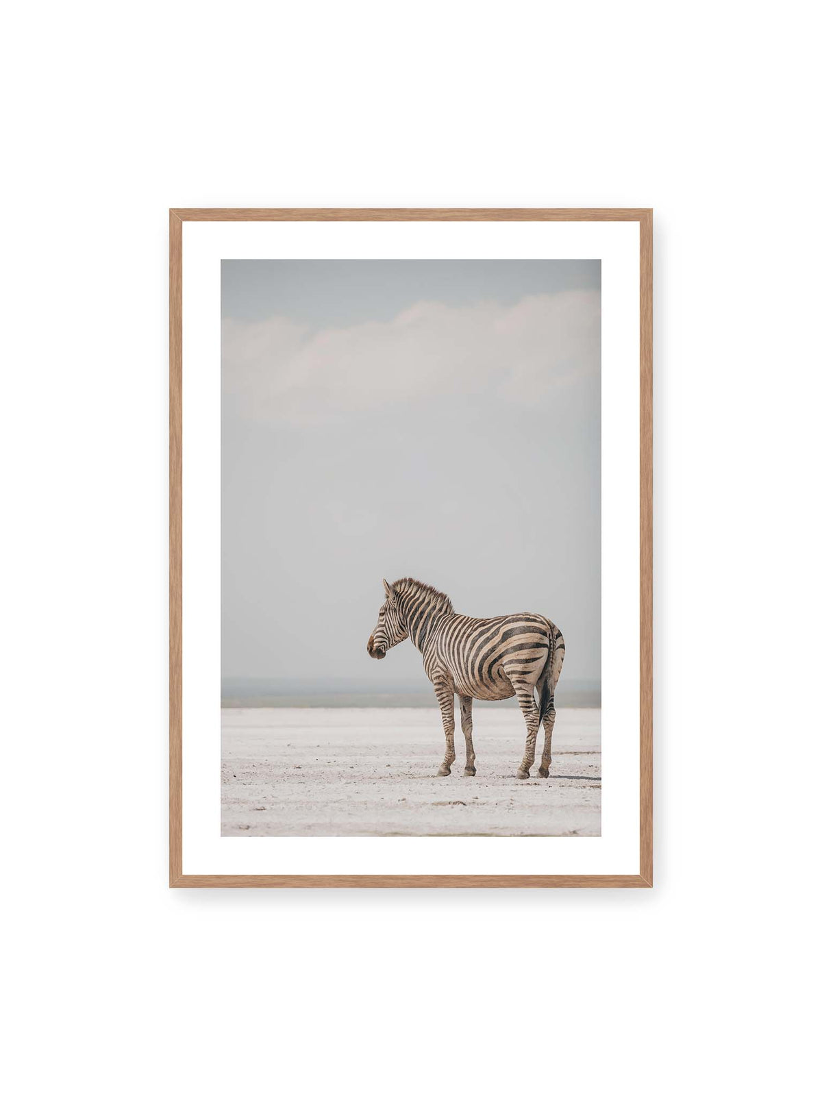 70x100 cm, weißer Galerie-Rand, Eichenrahmen – Einzelnes Zebra im Profil auf einer hellen, offenen Ebene unter weitem grauem Himmel.