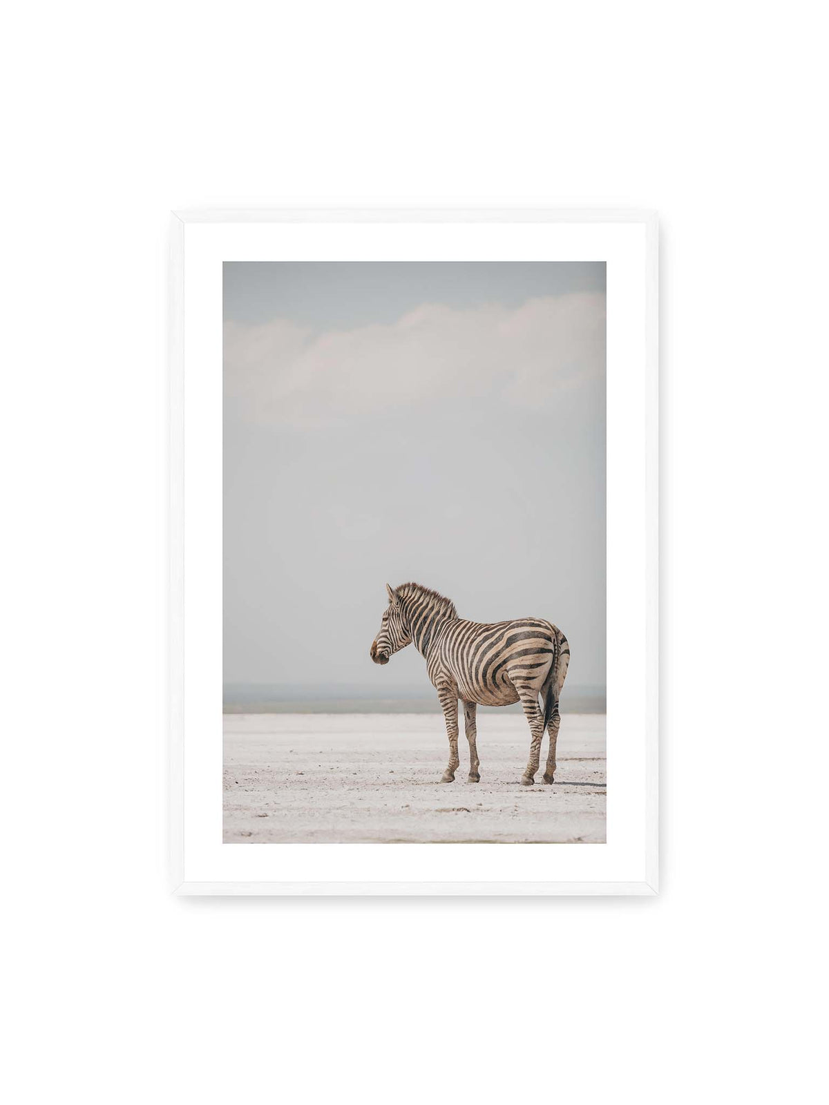 70x100 cm, weißer Galerie-Rand, weißer Rahmen – Einzelnes Zebra im Profil auf einer hellen, offenen Ebene unter weitem grauem Himmel.
