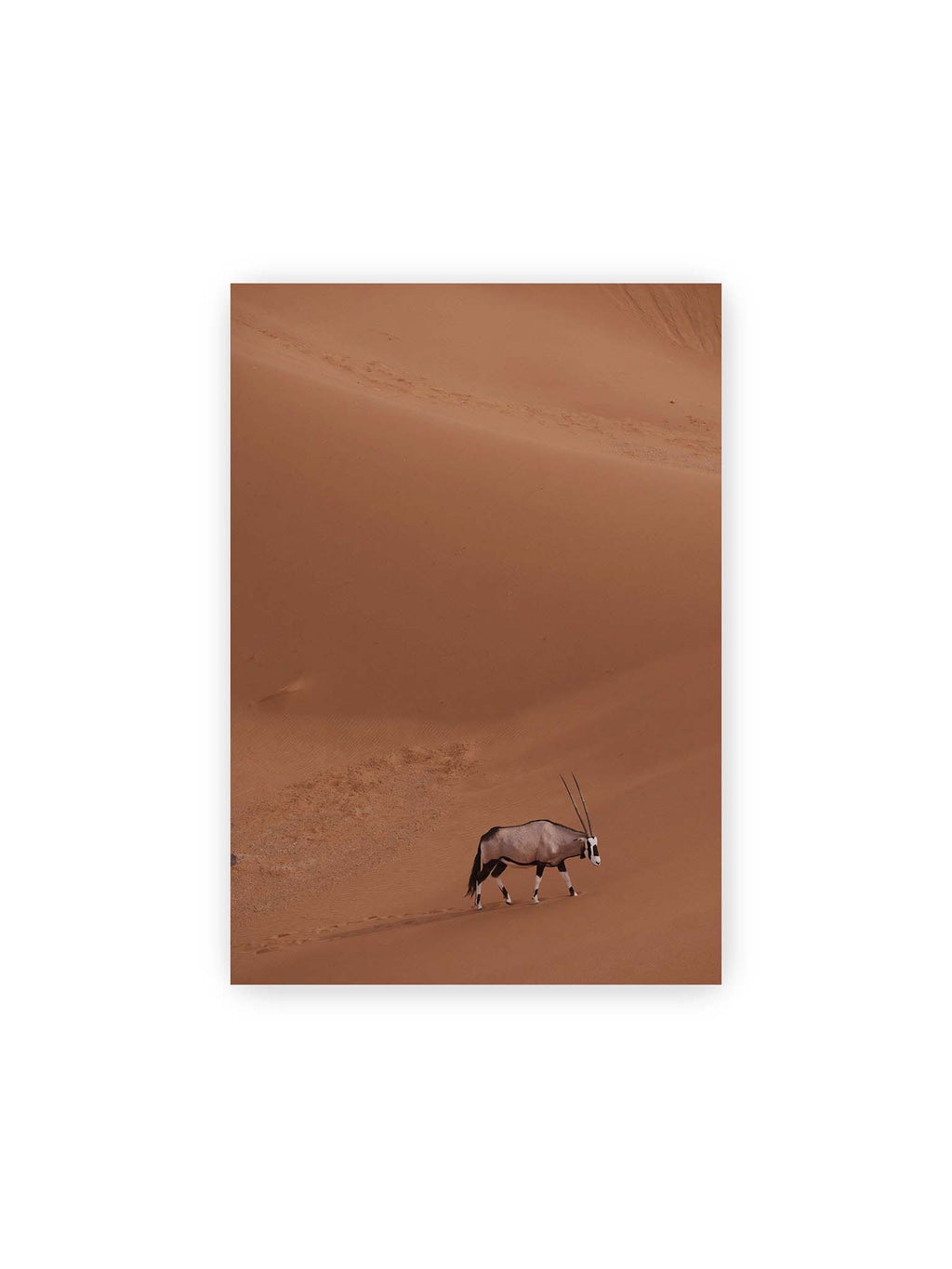 21x30 cm – Einzelne Oryxantilope mit langen Hörnern läuft durch eine weite, braune Dünenlandschaft.
