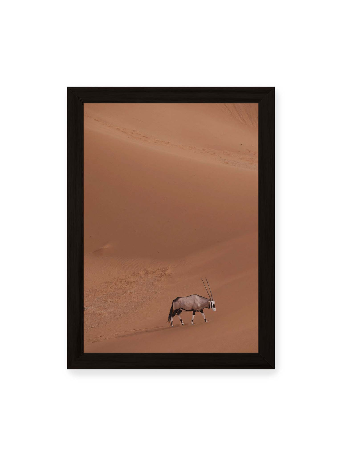 21x30 cm, schwarzer Rahmen – Einzelne Oryxantilope mit langen Hörnern läuft durch eine weite, braune Dünenlandschaft.
