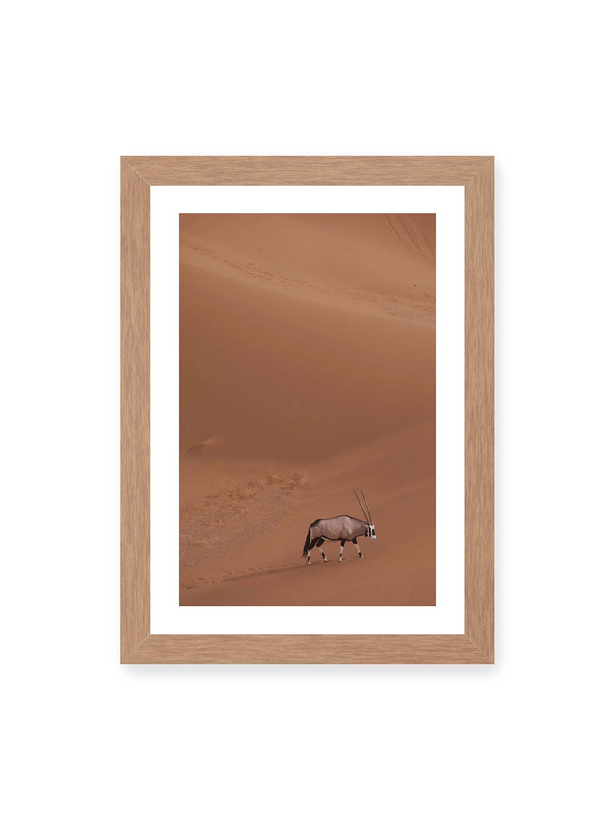 21x30 cm, weißer Galerie-Rand, Eichenrahmen – Einzelne Oryxantilope mit langen Hörnern läuft durch eine weite, braune Dünenlandschaft.