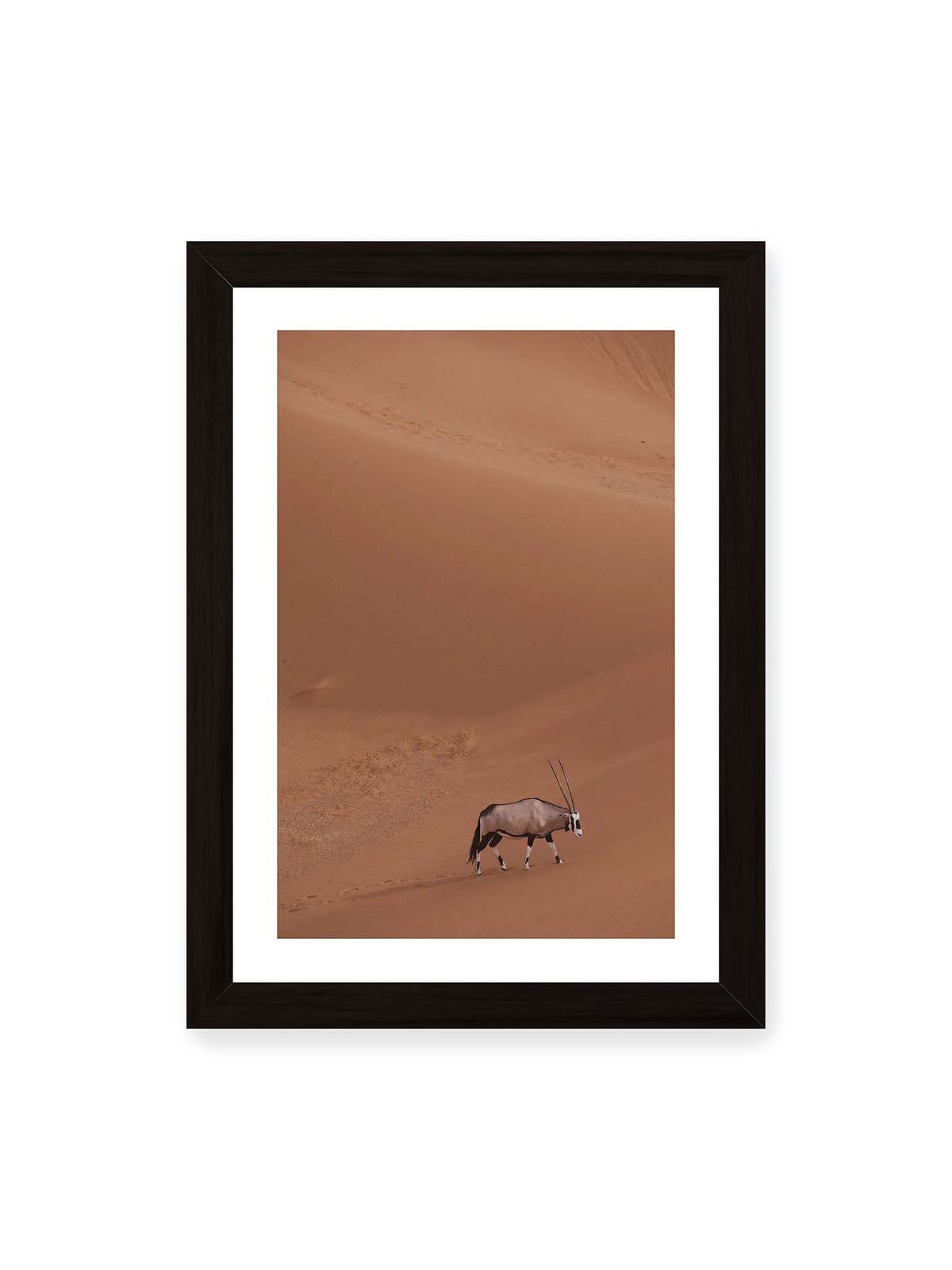 21x30 cm, weißer Galerie-Rand, schwarzer Rahmen – Einzelne Oryxantilope mit langen Hörnern läuft durch eine weite, braune Dünenlandschaft.