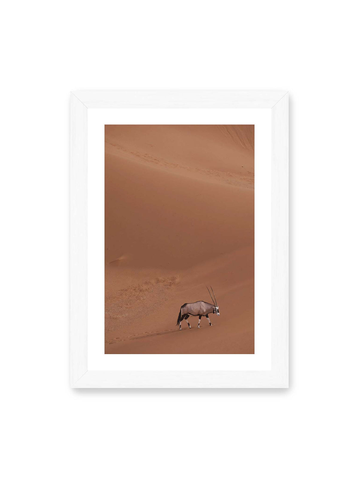 21x30 cm, weißer Galerie-Rand, weißer Rahmen – Einzelne Oryxantilope mit langen Hörnern läuft durch eine weite, braune Dünenlandschaft.