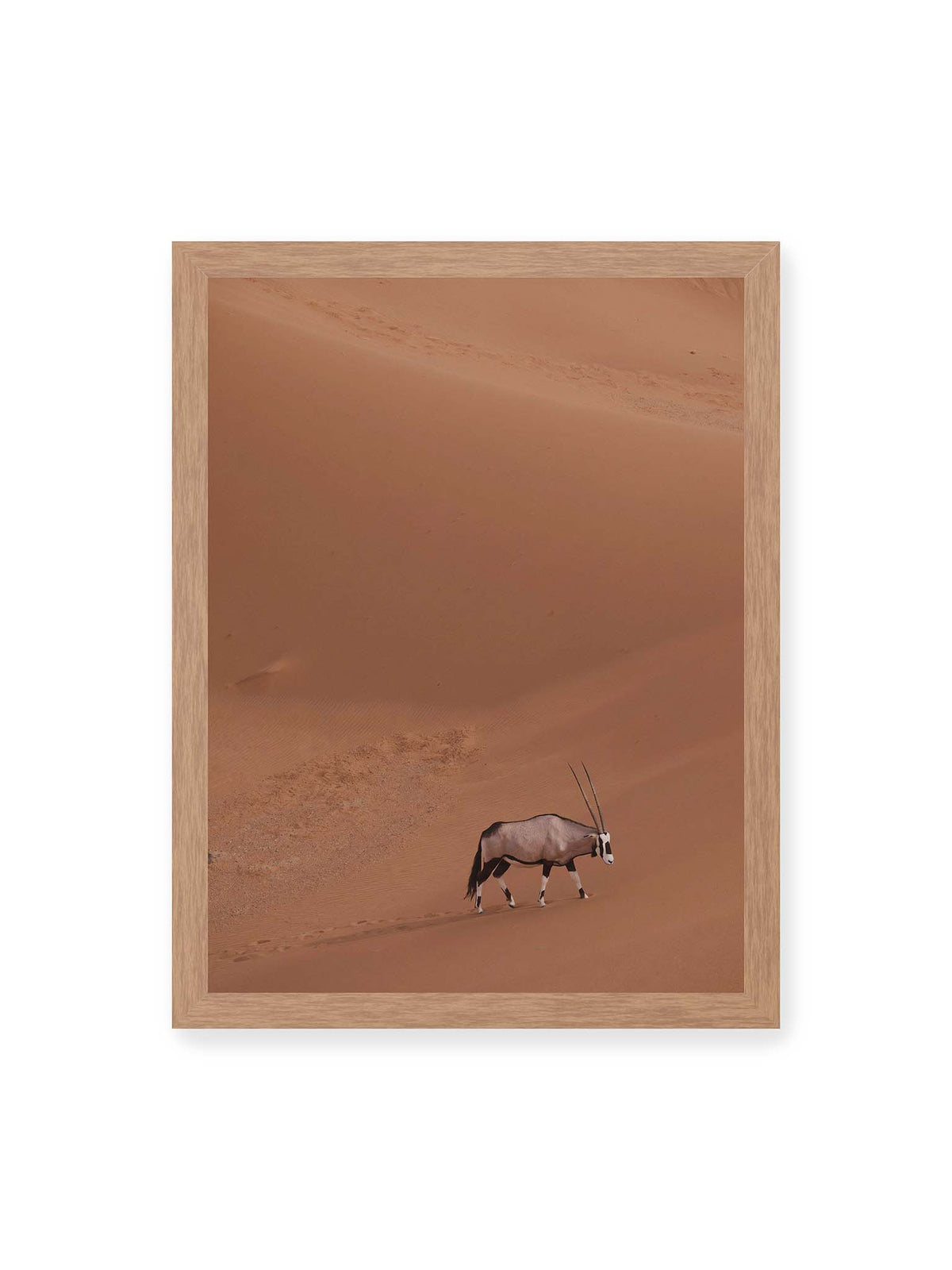 30x40 cm, Eichenrahmen – Einzelne Oryxantilope mit langen Hörnern läuft durch eine weite, braune Dünenlandschaft.