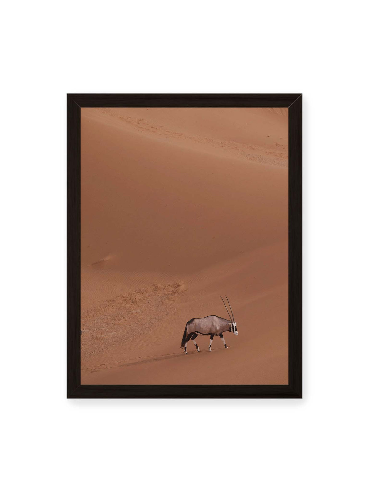 30x40 cm, schwarzer Rahmen – Einzelne Oryxantilope mit langen Hörnern läuft durch eine weite, braune Dünenlandschaft.