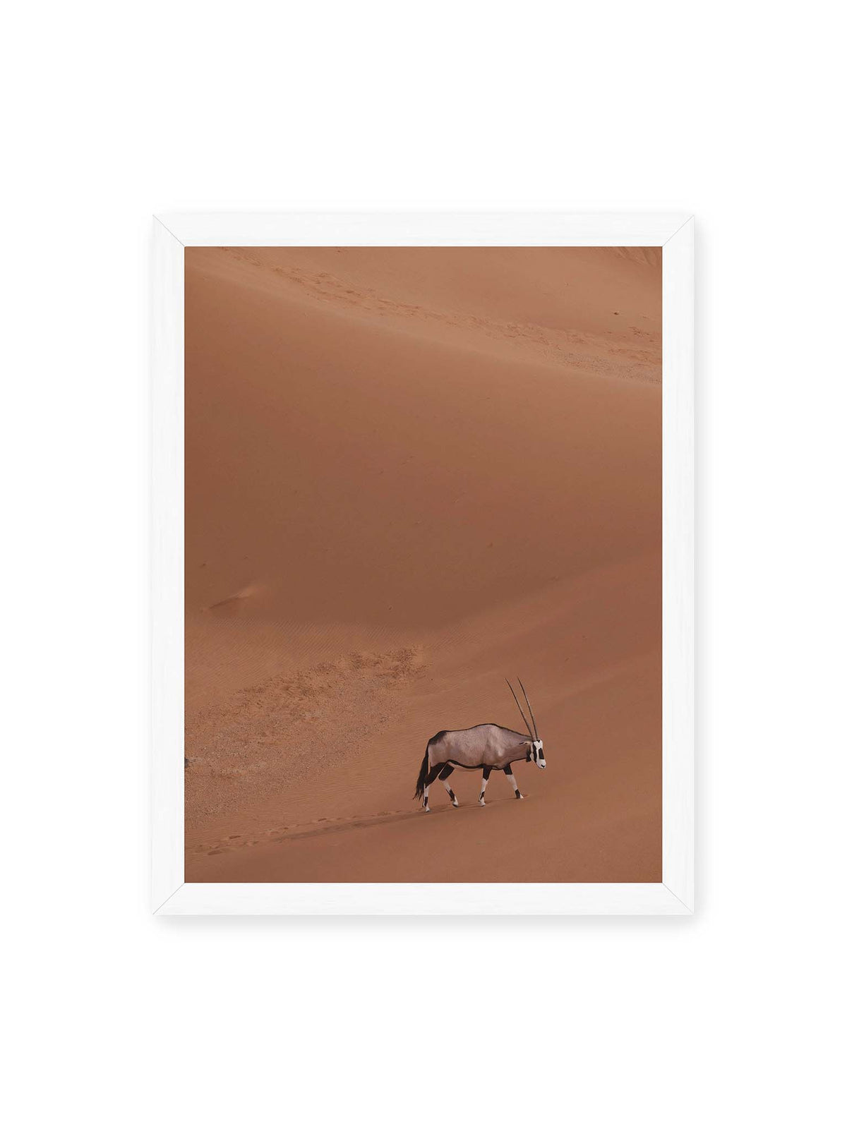 30x40 cm, weißer Rahmen – Einzelne Oryxantilope mit langen Hörnern läuft durch eine weite, braune Dünenlandschaft.