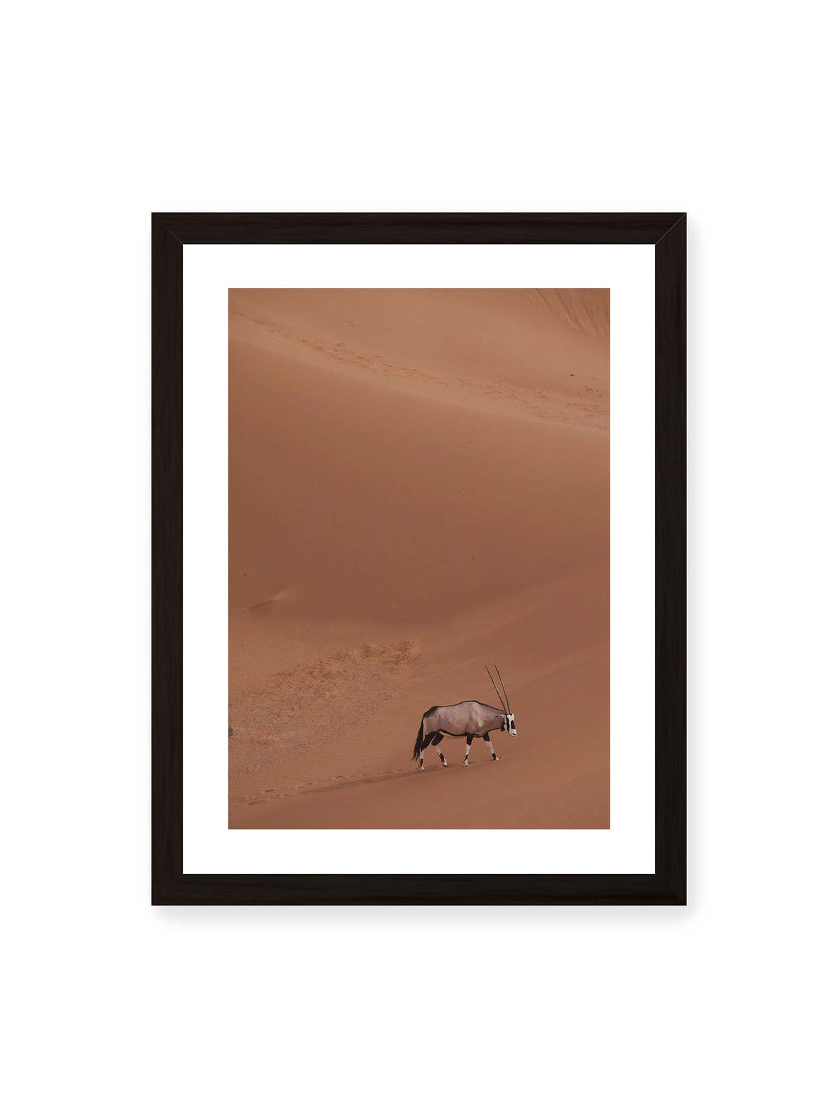 30x40 cm, weißer Galerie-Rand, schwarzer Rahmen – Einzelne Oryxantilope mit langen Hörnern läuft durch eine weite, braune Dünenlandschaft.