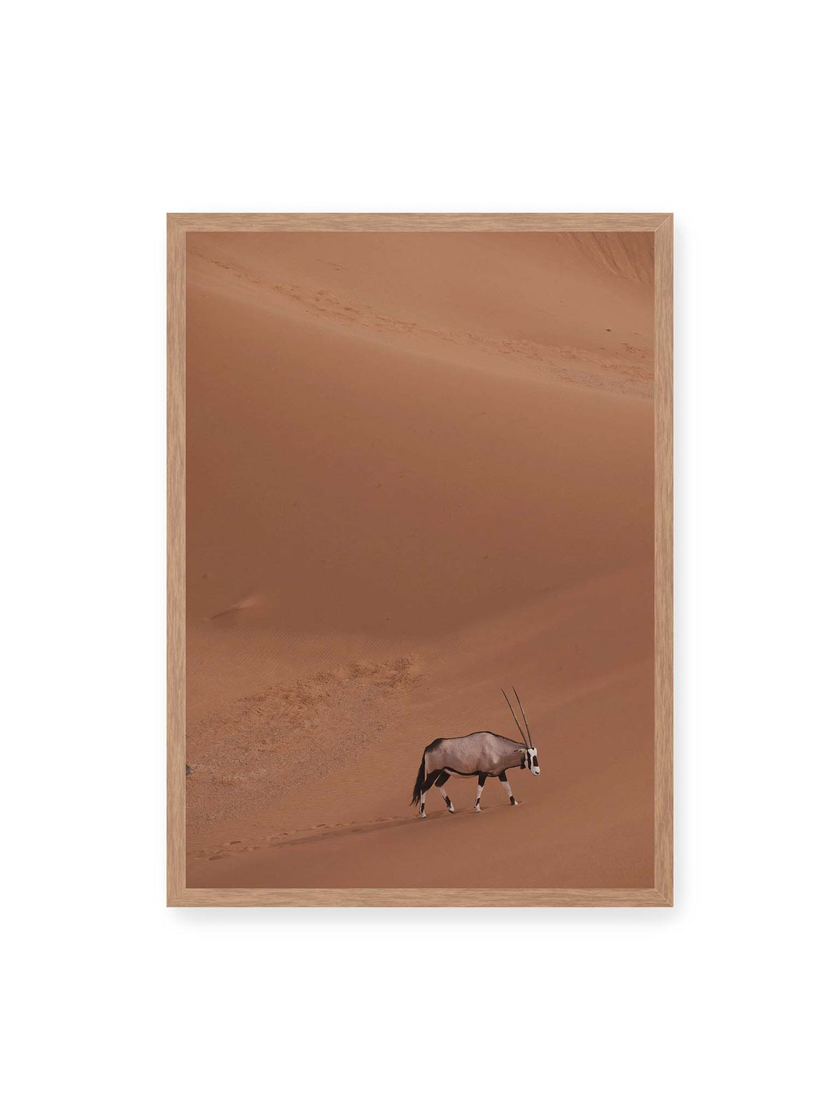 50x70 cm, Eichenrahmen – Einzelne Oryxantilope mit langen Hörnern läuft durch eine weite, braune Dünenlandschaft.