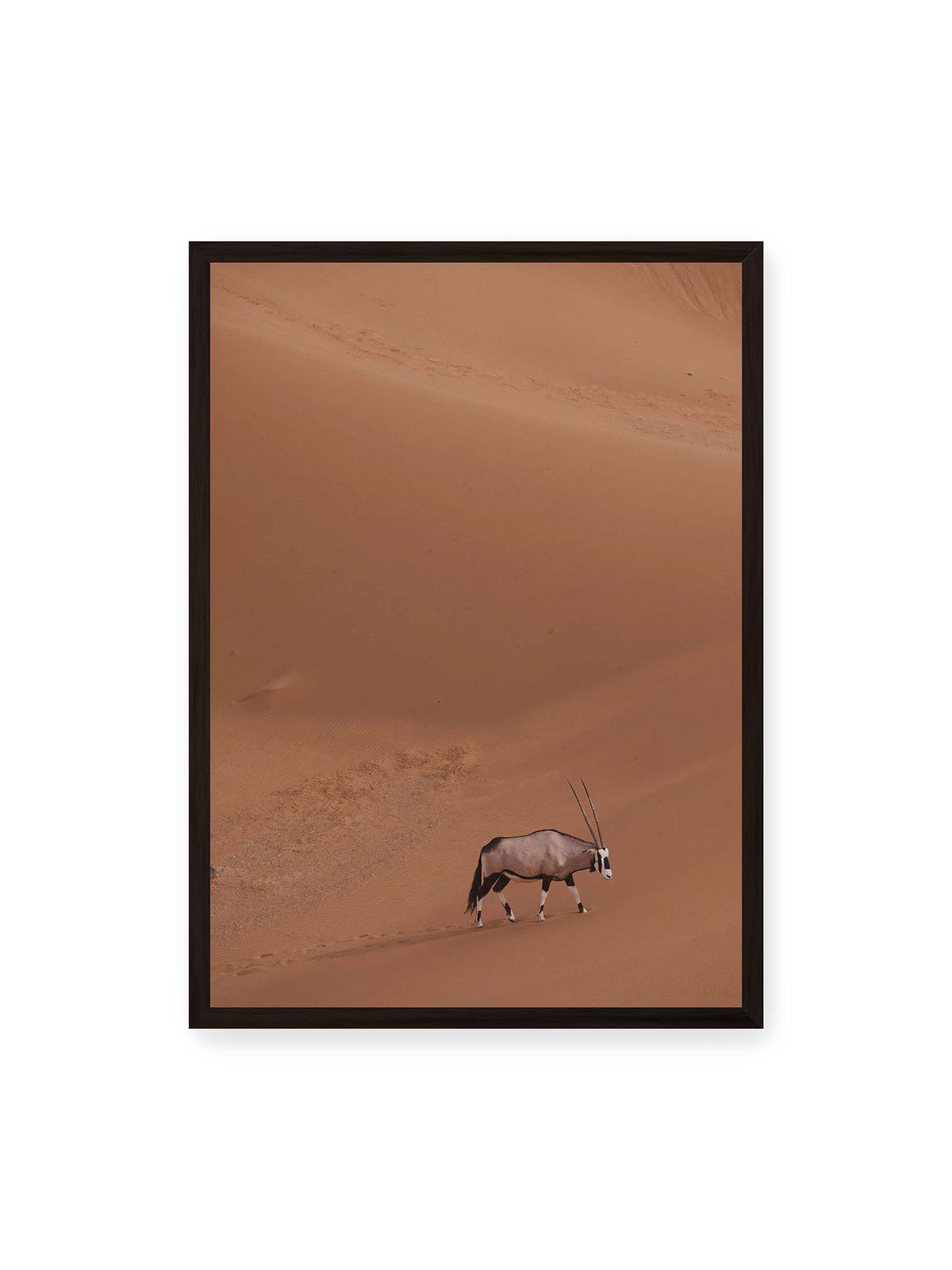 50x70 cm, schwarzer Rahmen – Einzelne Oryxantilope mit langen Hörnern läuft durch eine weite, braune Dünenlandschaft.