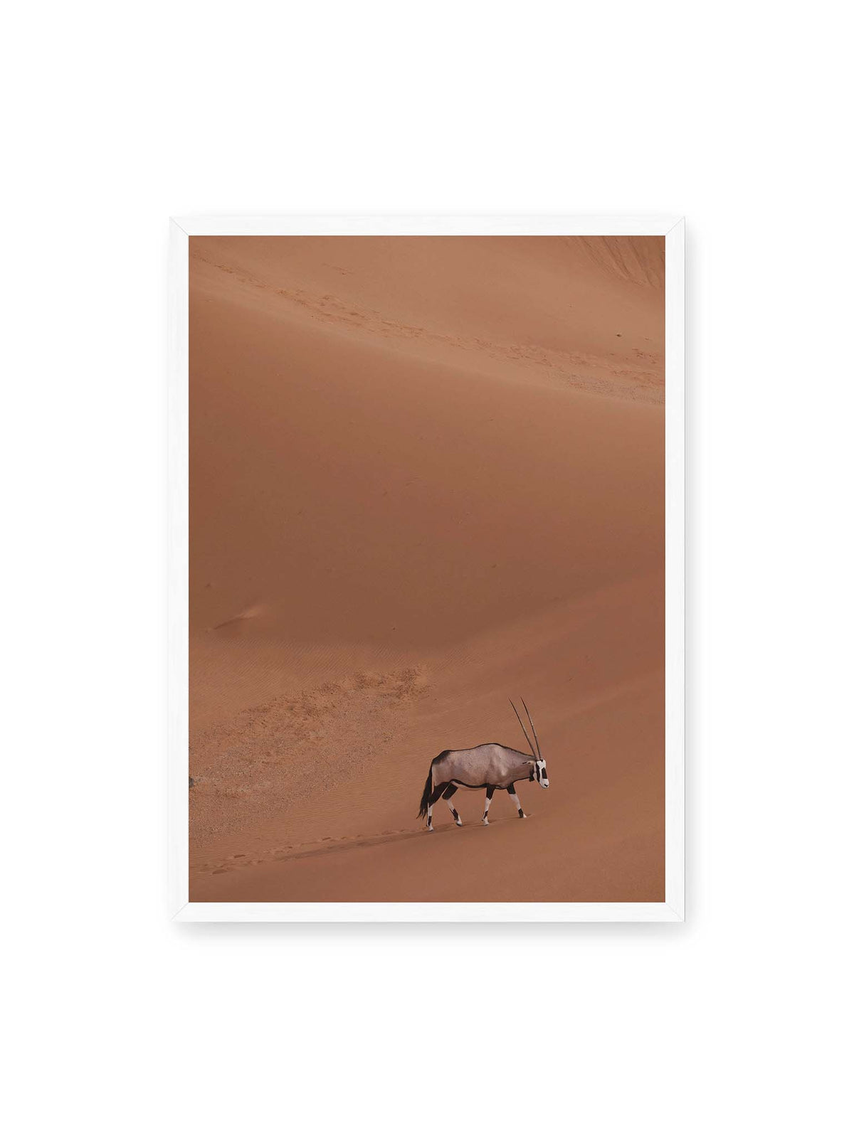 50x70 cm, weißer Rahmen – Einzelne Oryxantilope mit langen Hörnern läuft durch eine weite, braune Dünenlandschaft.