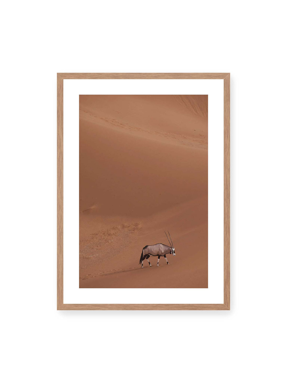 50x70 cm, weißer Galerie-Rand, Eichenrahmen – Einzelne Oryxantilope mit langen Hörnern läuft durch eine weite, braune Dünenlandschaft.