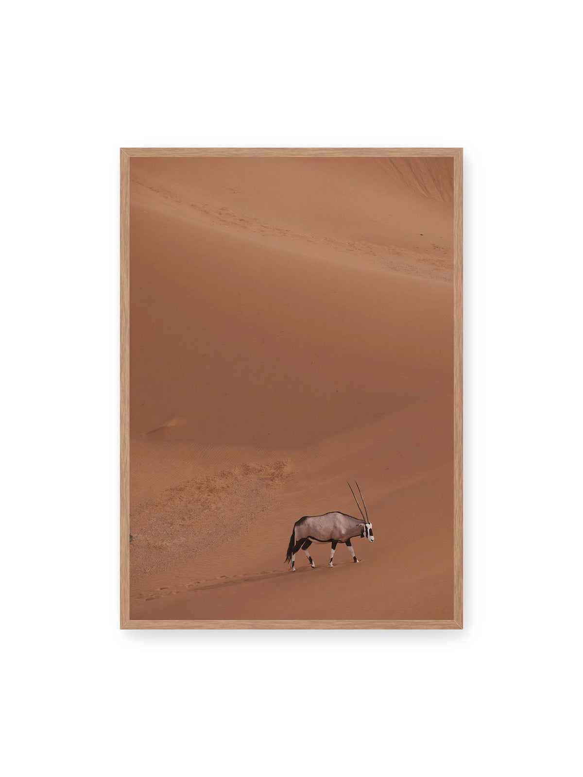 70x100 cm, Eichenrahmen – Einzelne Oryxantilope mit langen Hörnern läuft durch eine weite, braune Dünenlandschaft.